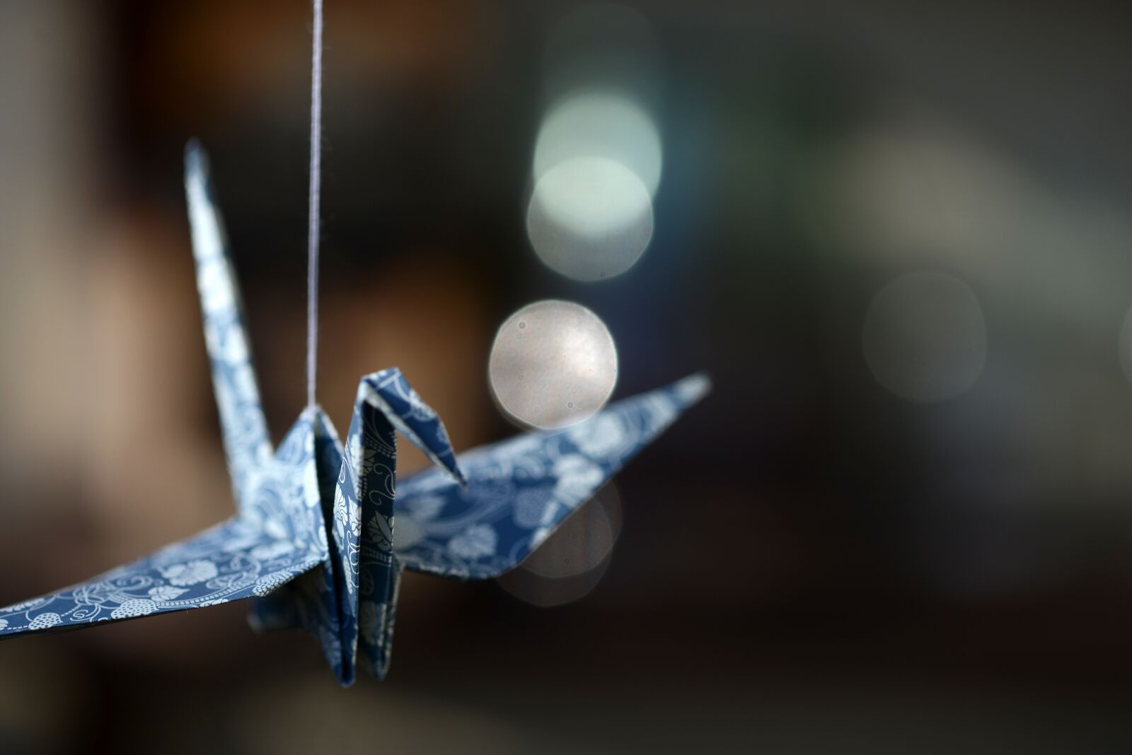 Nikon D800 sample photo. Origami, crane, fold photography