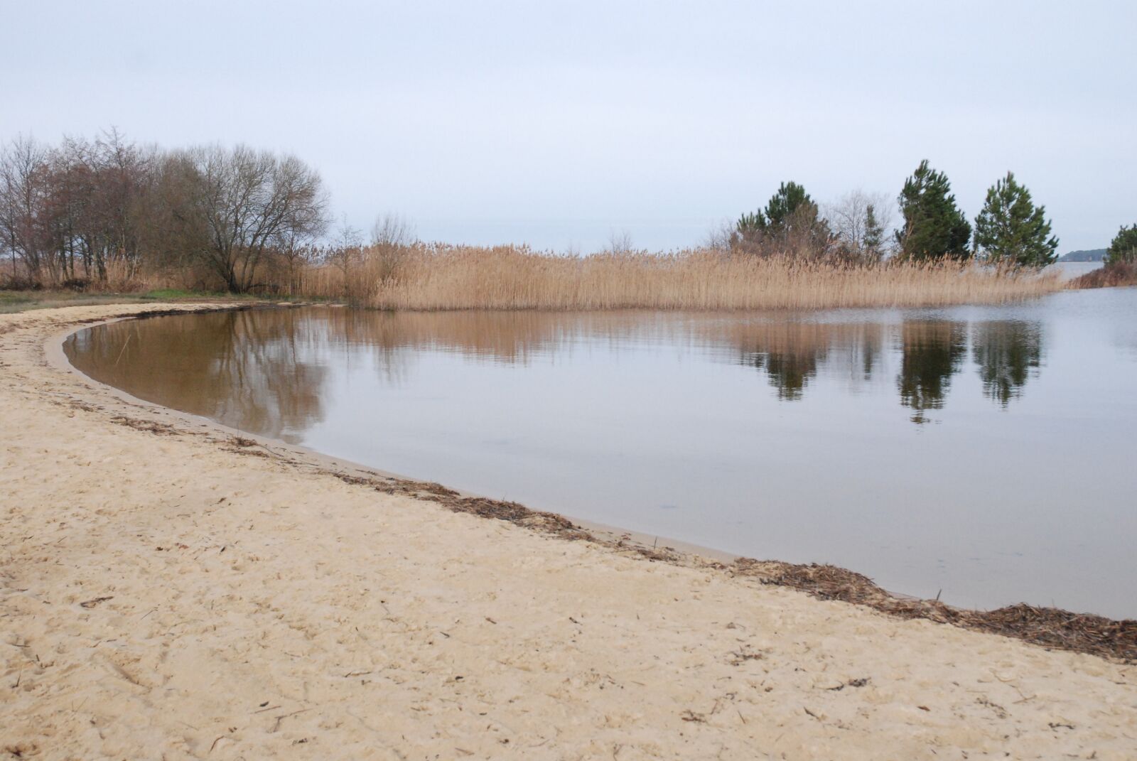 Nikon D80 sample photo. Lake, nature, beach photography