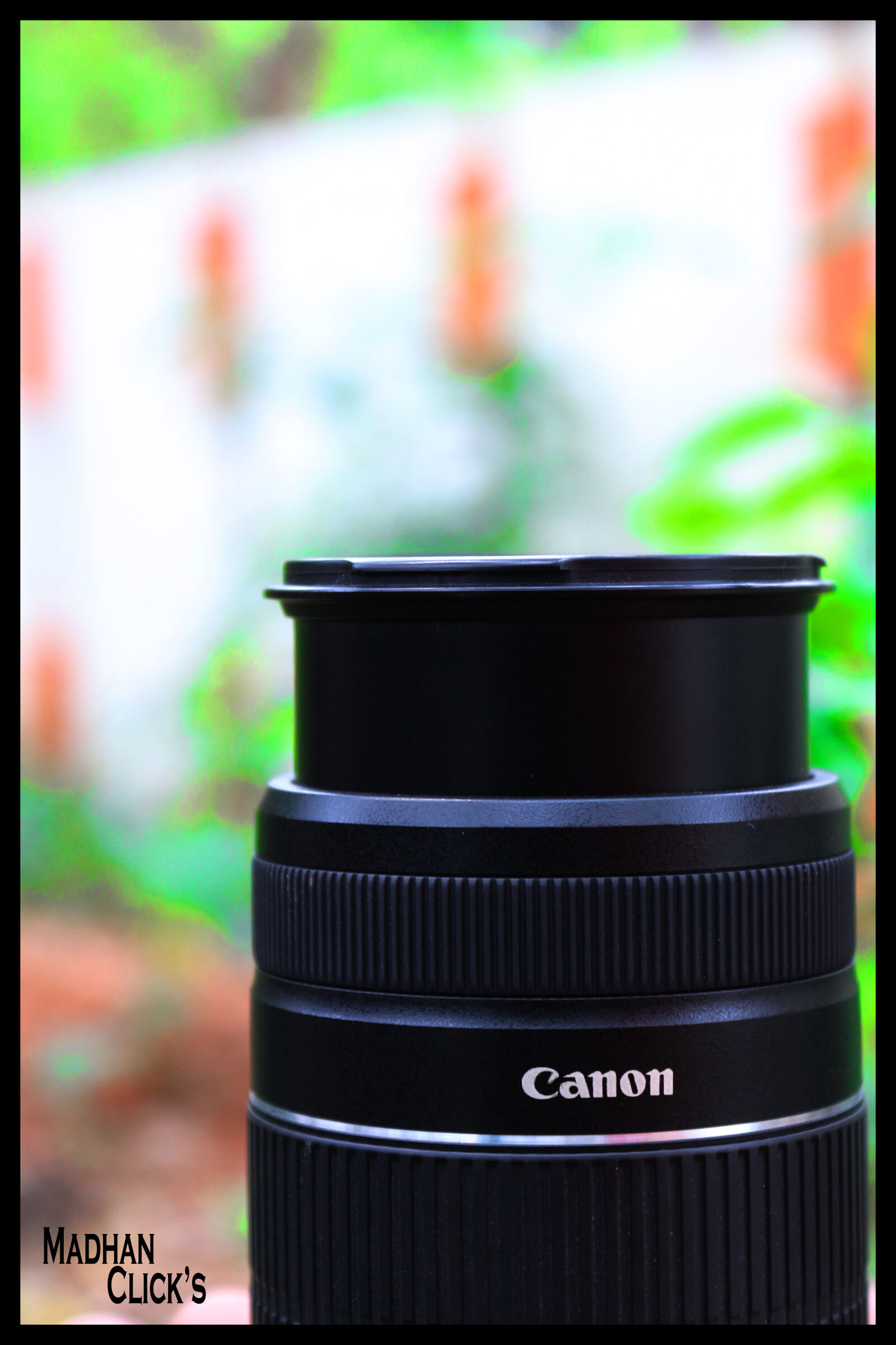 Canon EOS 700D (EOS Rebel T5i / EOS Kiss X7i) sample photo