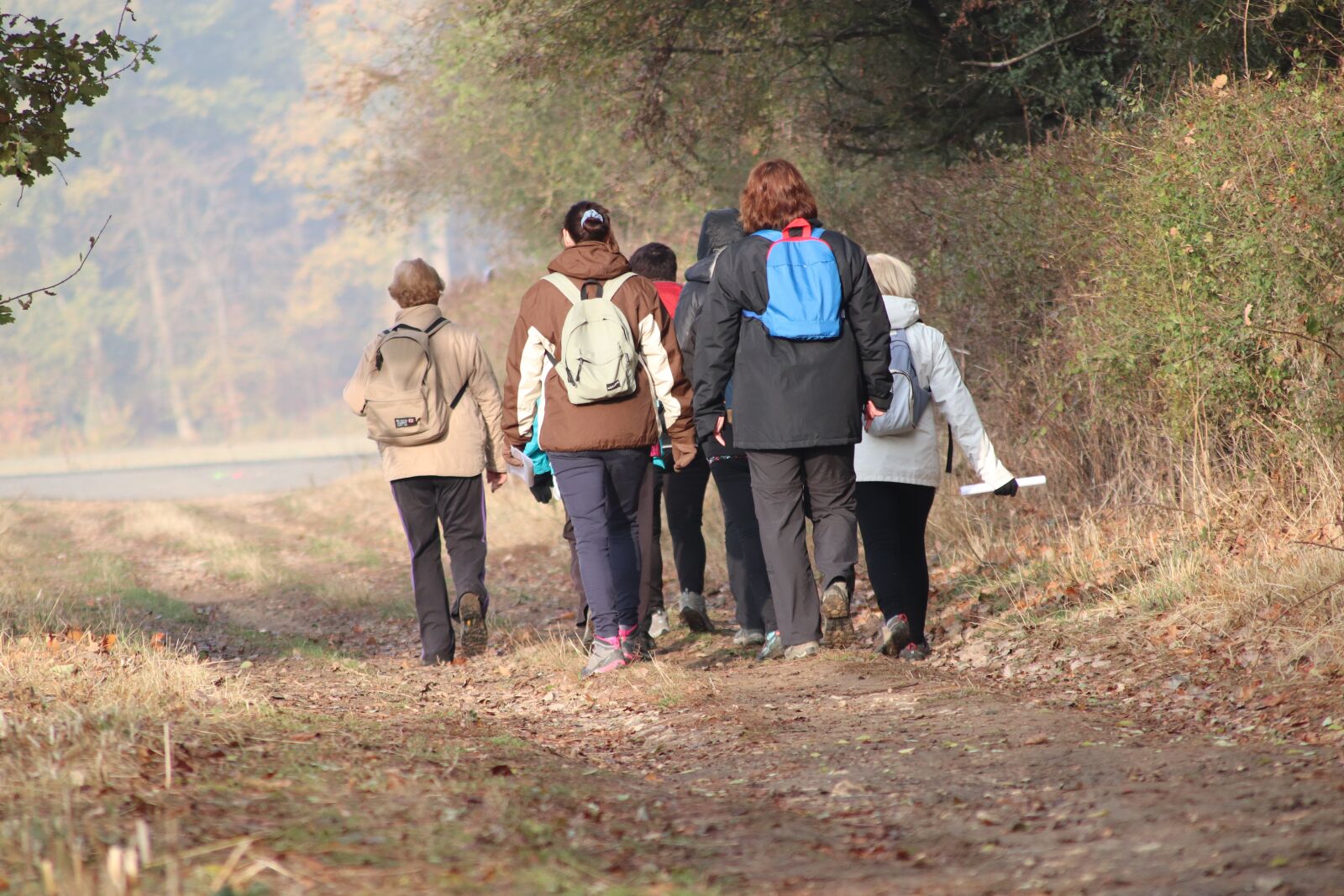 Canon EOS 800D (EOS Rebel T7i / EOS Kiss X9i) sample photo. Hikers, field, trails photography