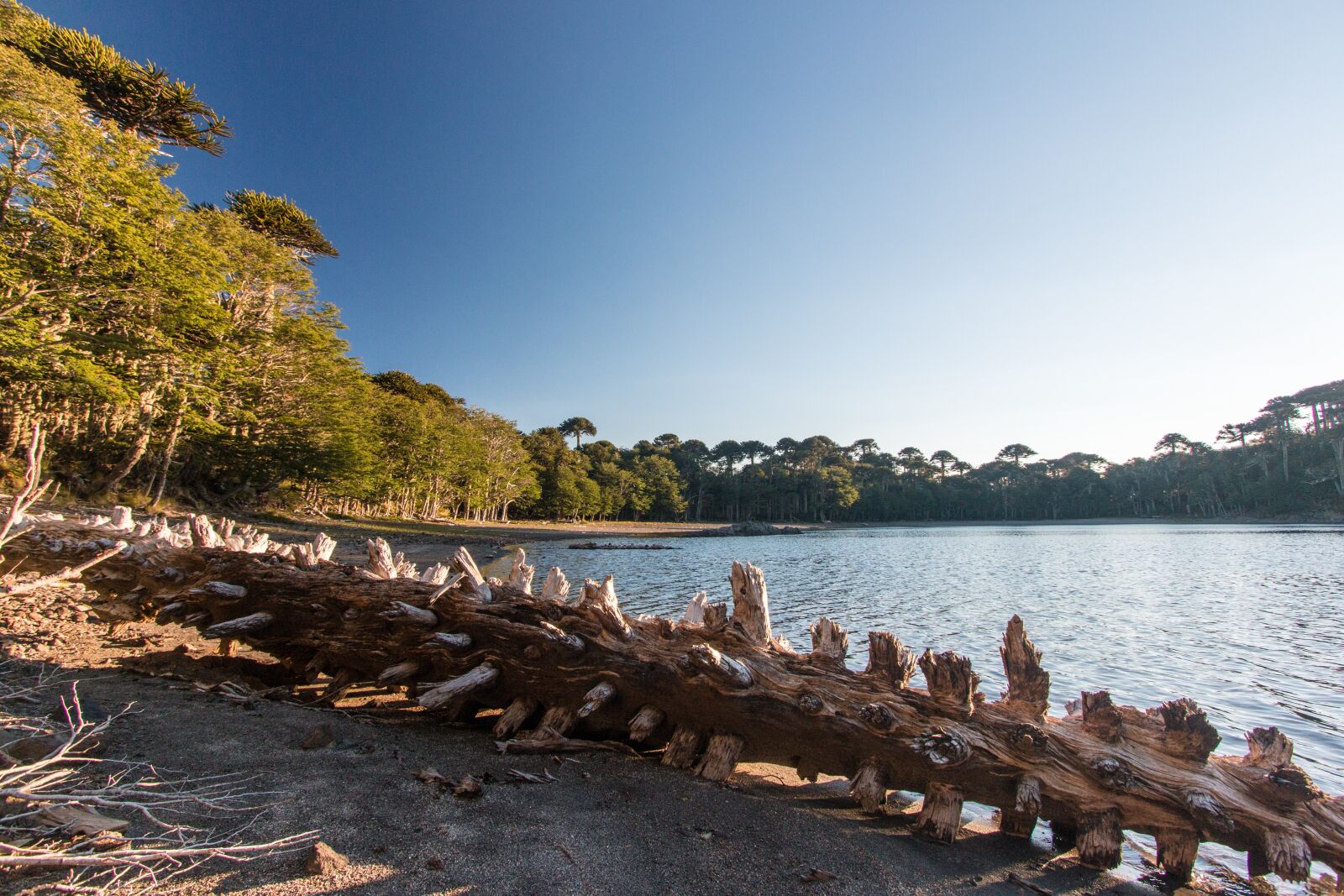 Canon EOS 70D + Canon EF-S 10-22mm F3.5-4.5 USM sample photo. South america, chile, region photography