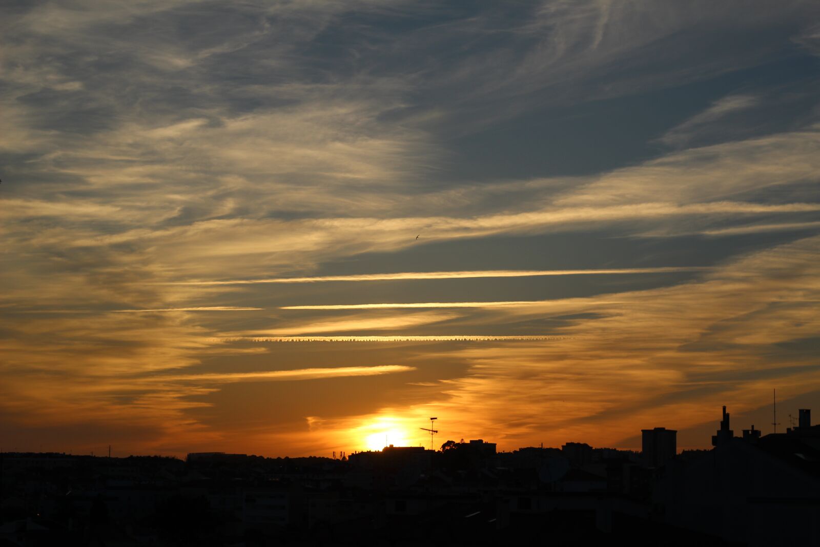 Canon EOS 1200D (EOS Rebel T5 / EOS Kiss X70 / EOS Hi) + Canon EF 50mm F1.8 STM sample photo. Of, sol, by photography