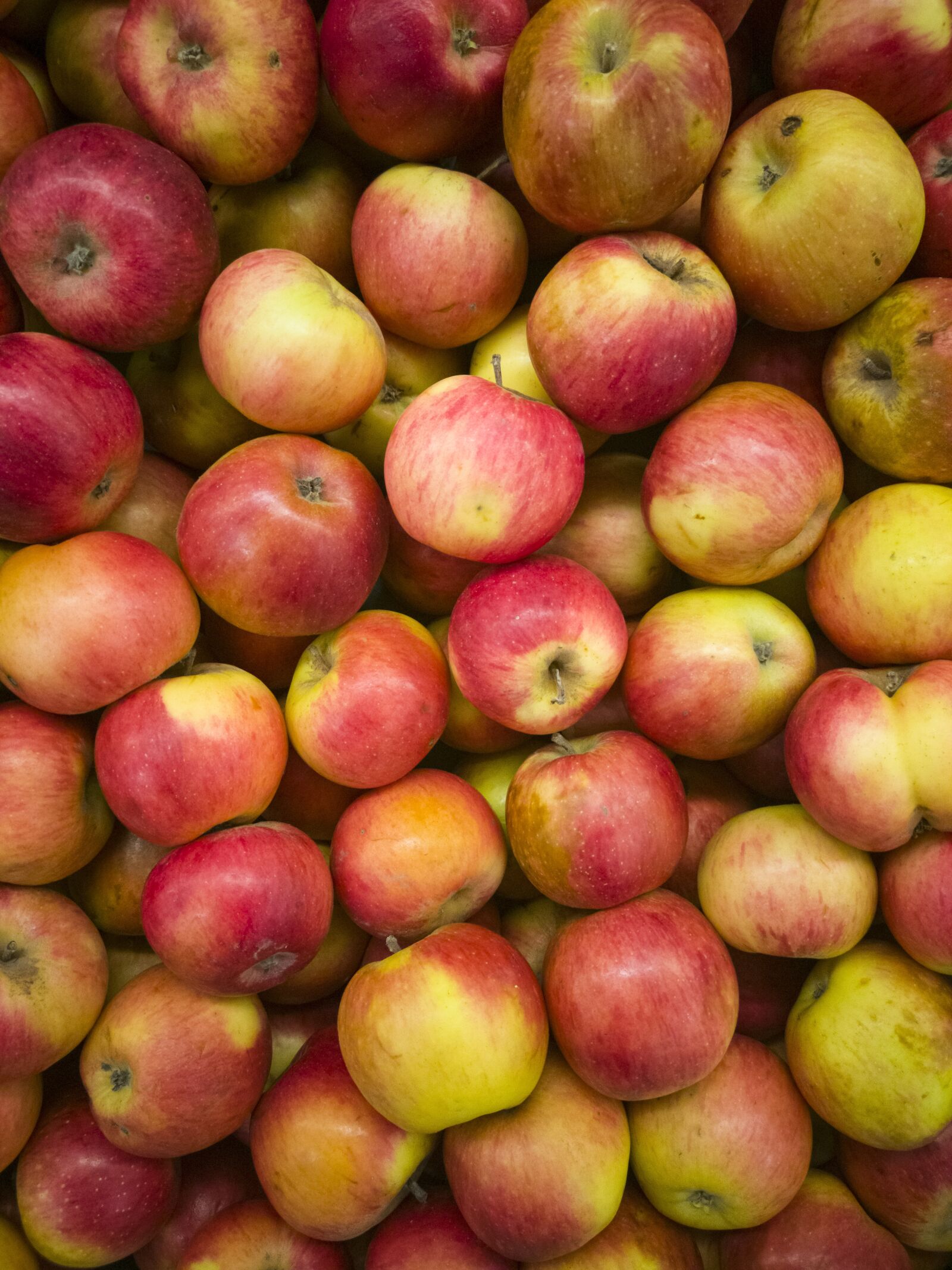 HUAWEI CLT-L09 sample photo. Apple, market, fruit photography