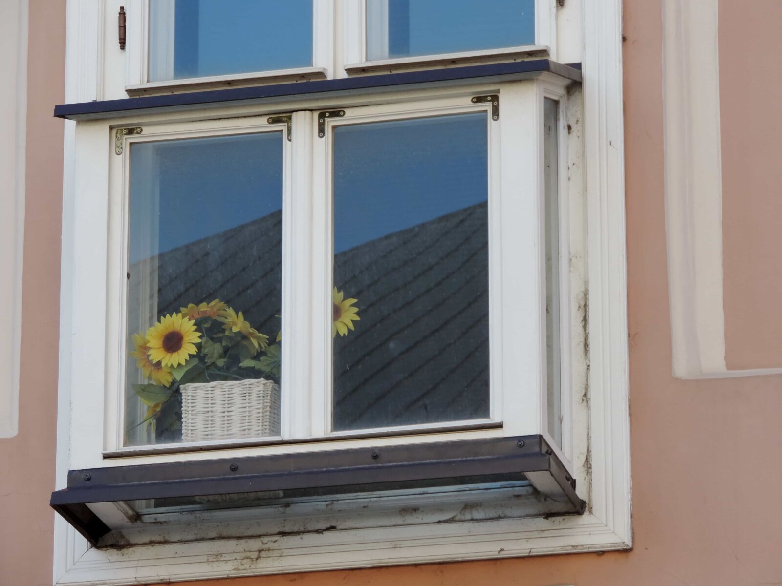 Nikon Coolpix P520 sample photo. Baroque, flowerpot, sunflower, window photography