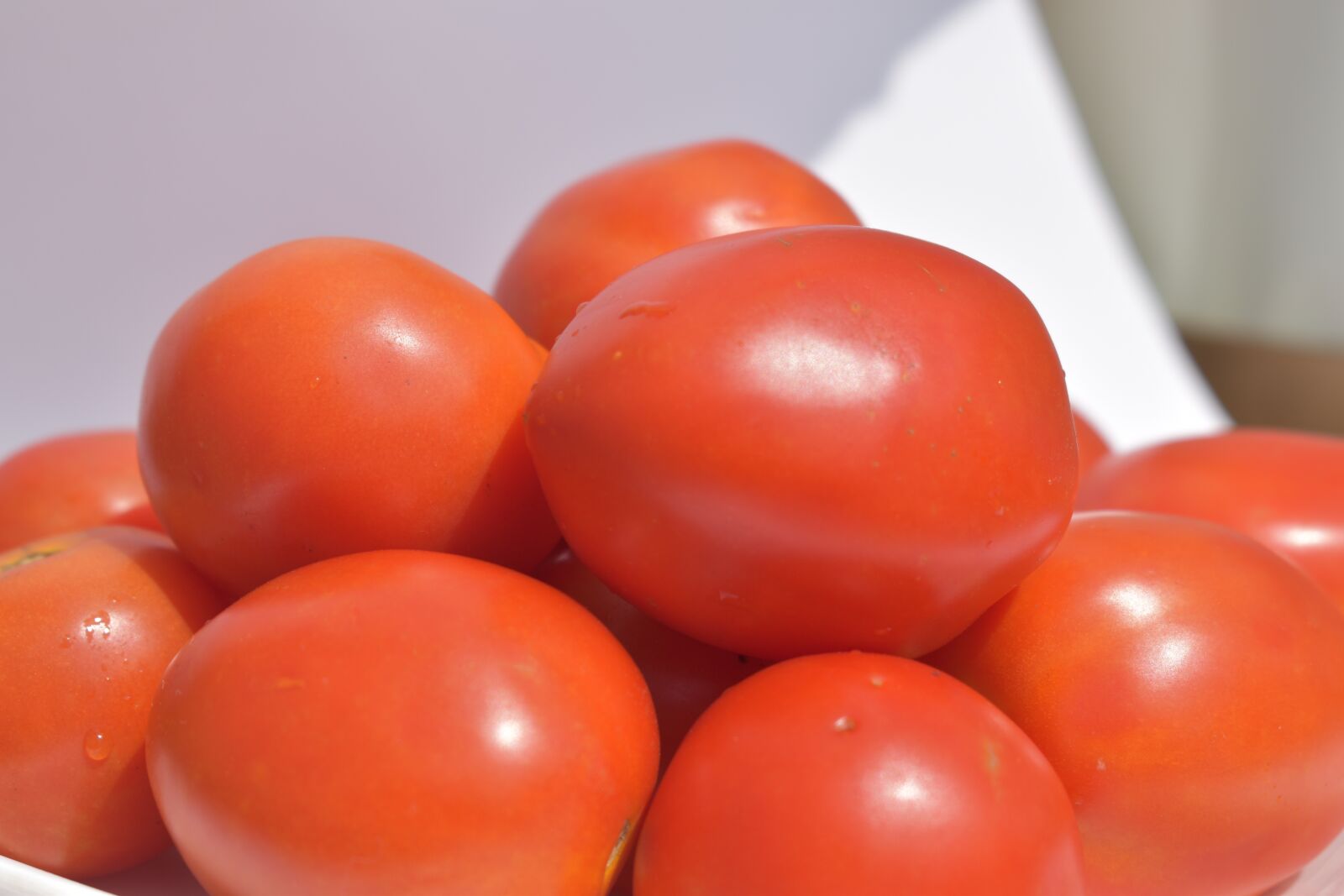 Nikon D5600 sample photo. Solanum lycopersicum, tomatoes, red photography