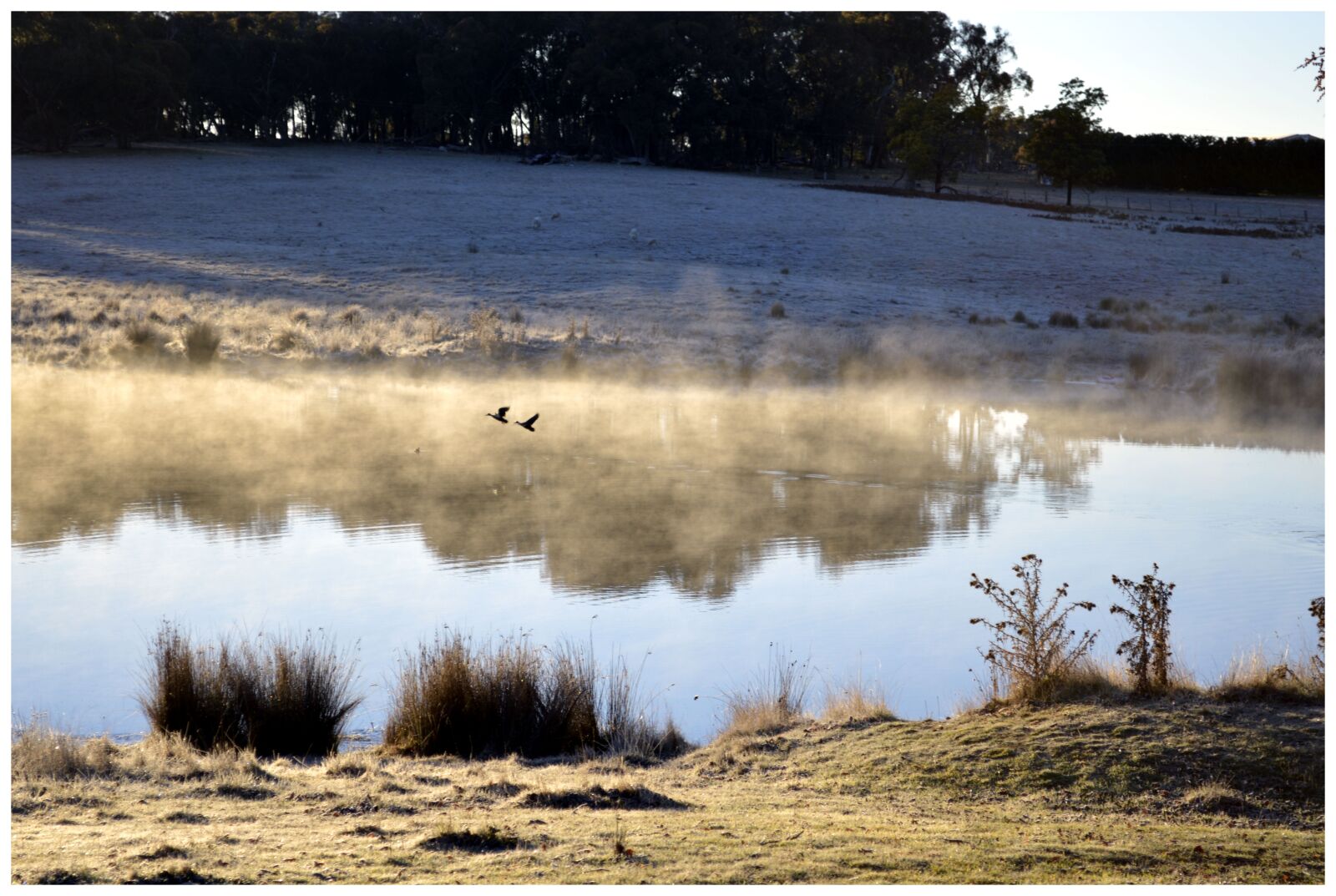 Nikon D3200 sample photo. Fog, haze, dusk photography