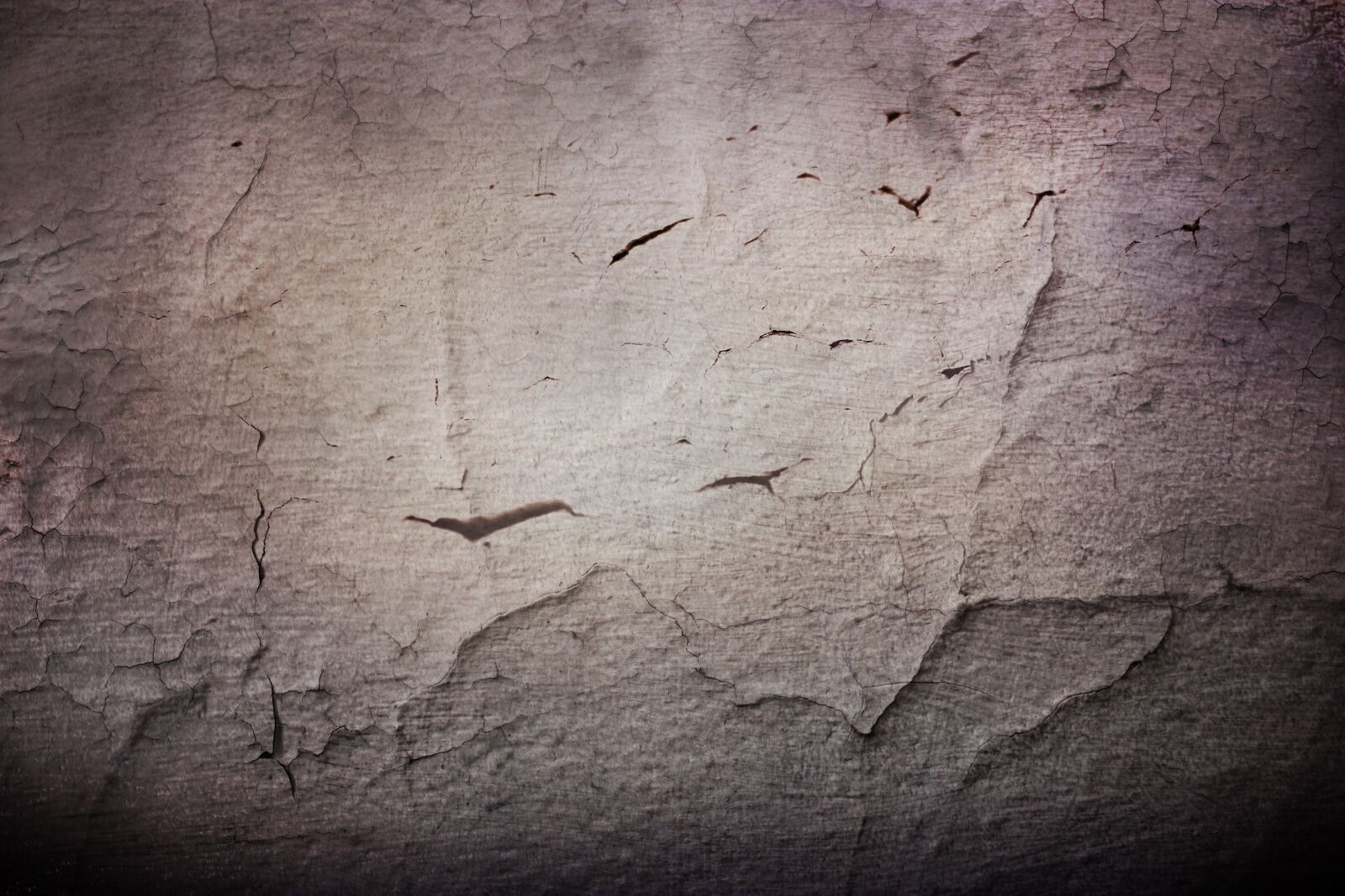 Canon EOS 550D (EOS Rebel T2i / EOS Kiss X4) sample photo. Grunge, dark, texture photography