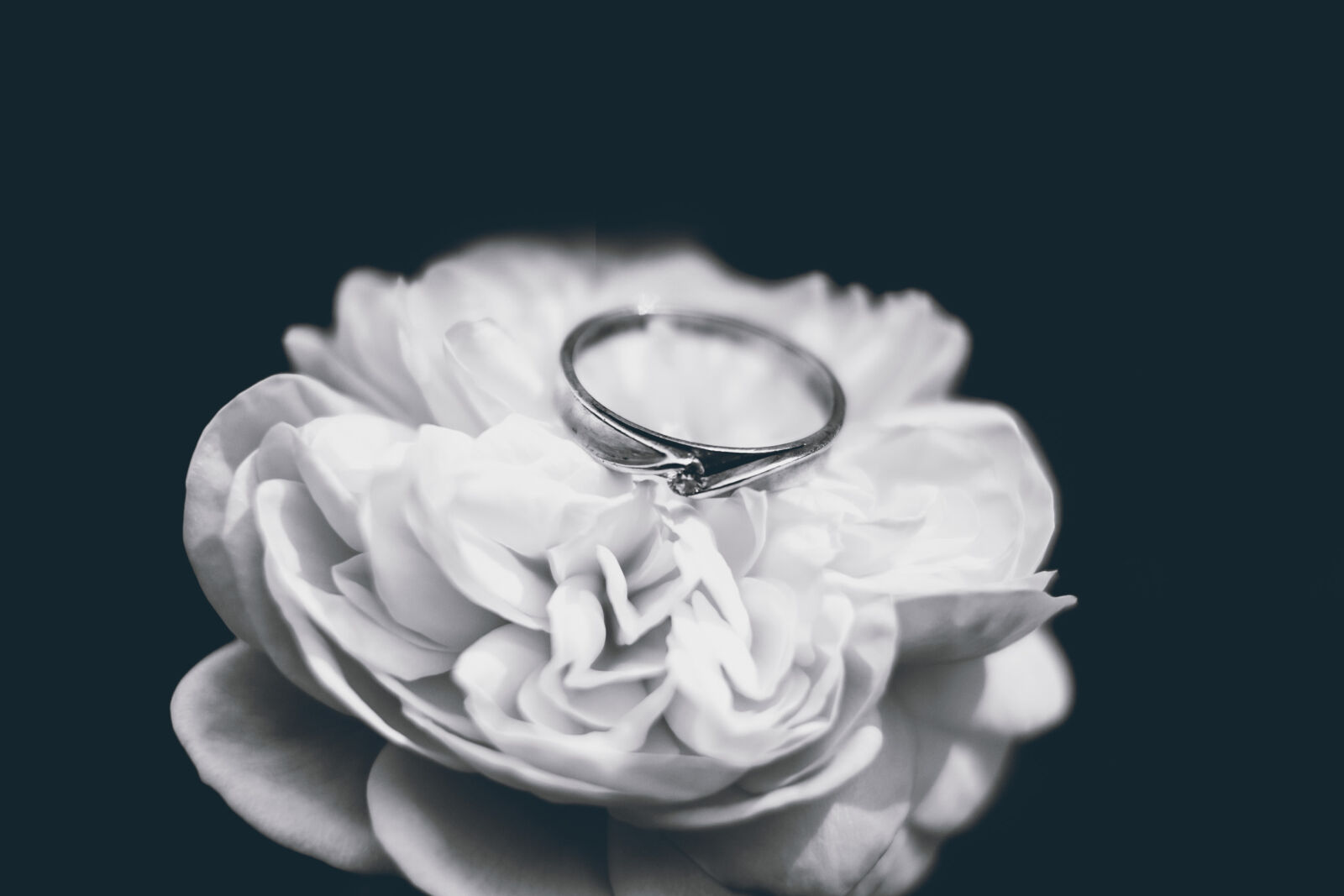 Canon EOS 7D sample photo. Photo, of, silver, ring photography
