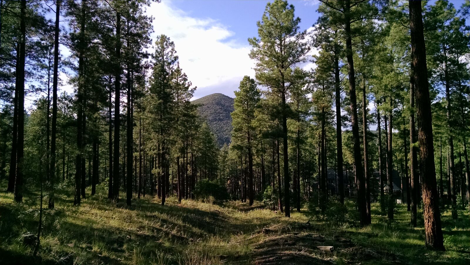Motorola XT1080 sample photo. Grass, mountain, sky, sunlight photography