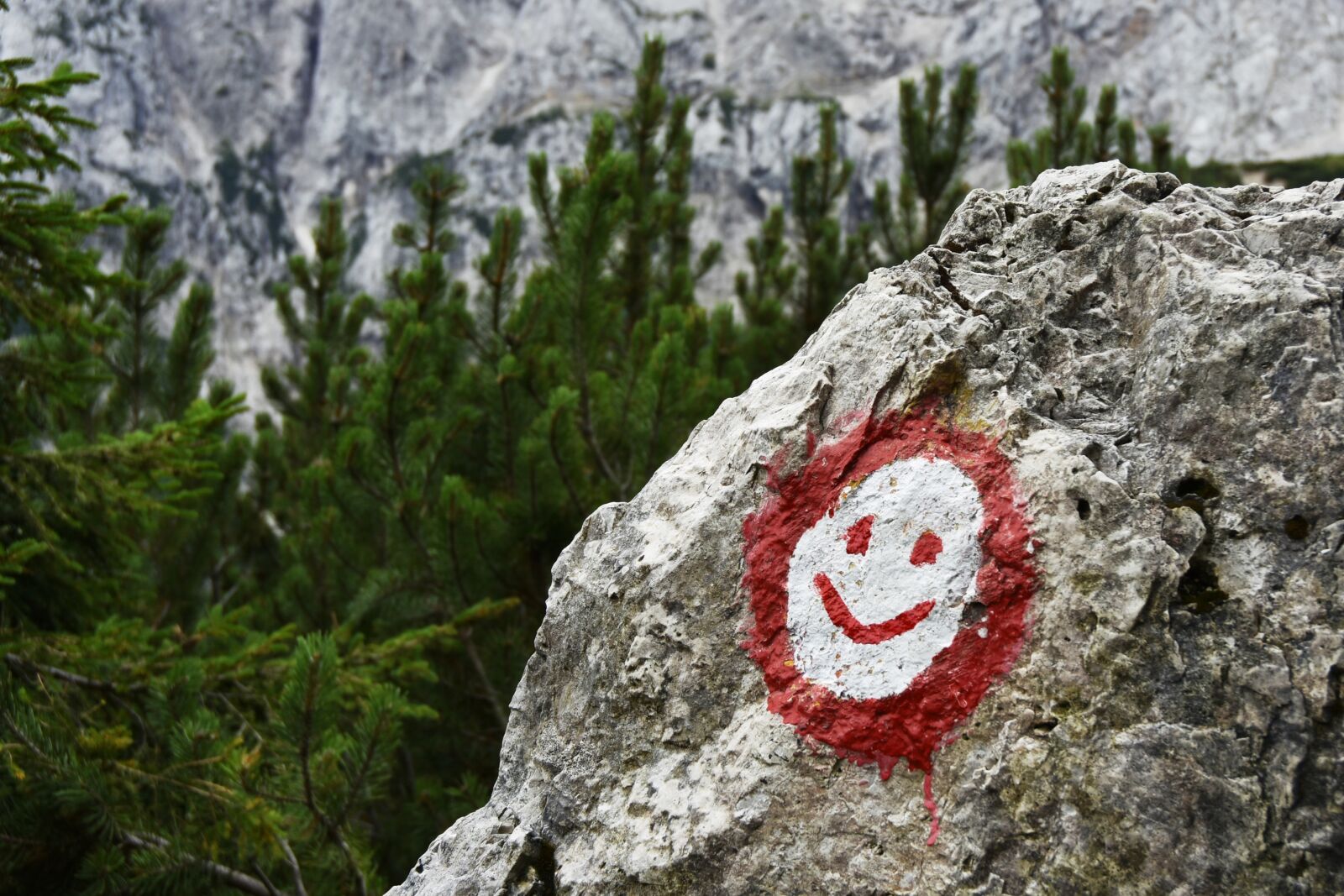 Nikon D7200 sample photo. Smile, mountains, slovenia photography