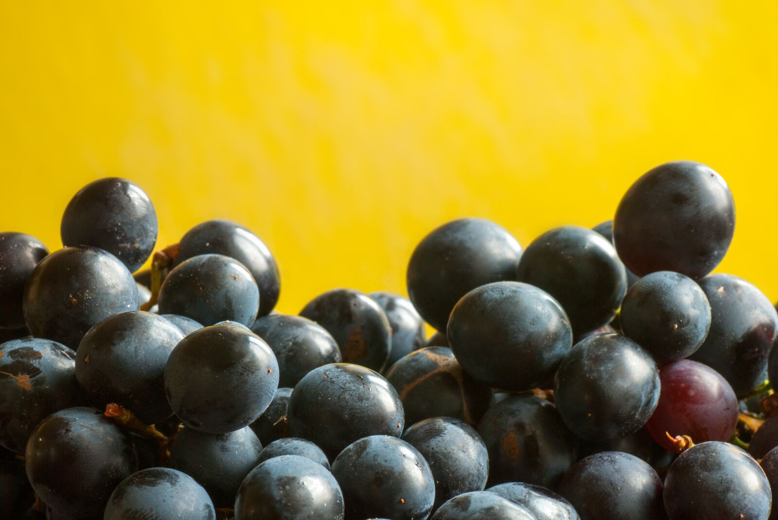 Nikon D80 sample photo. Olives, yellow, olive photography