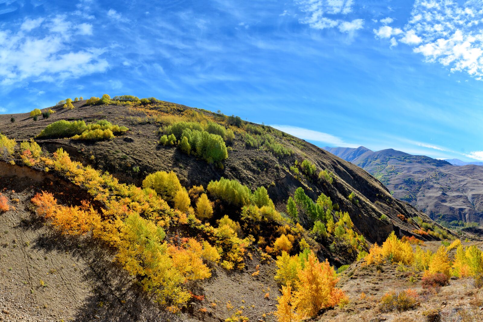 Nikon D7100 sample photo. Autumn, season, nature photography