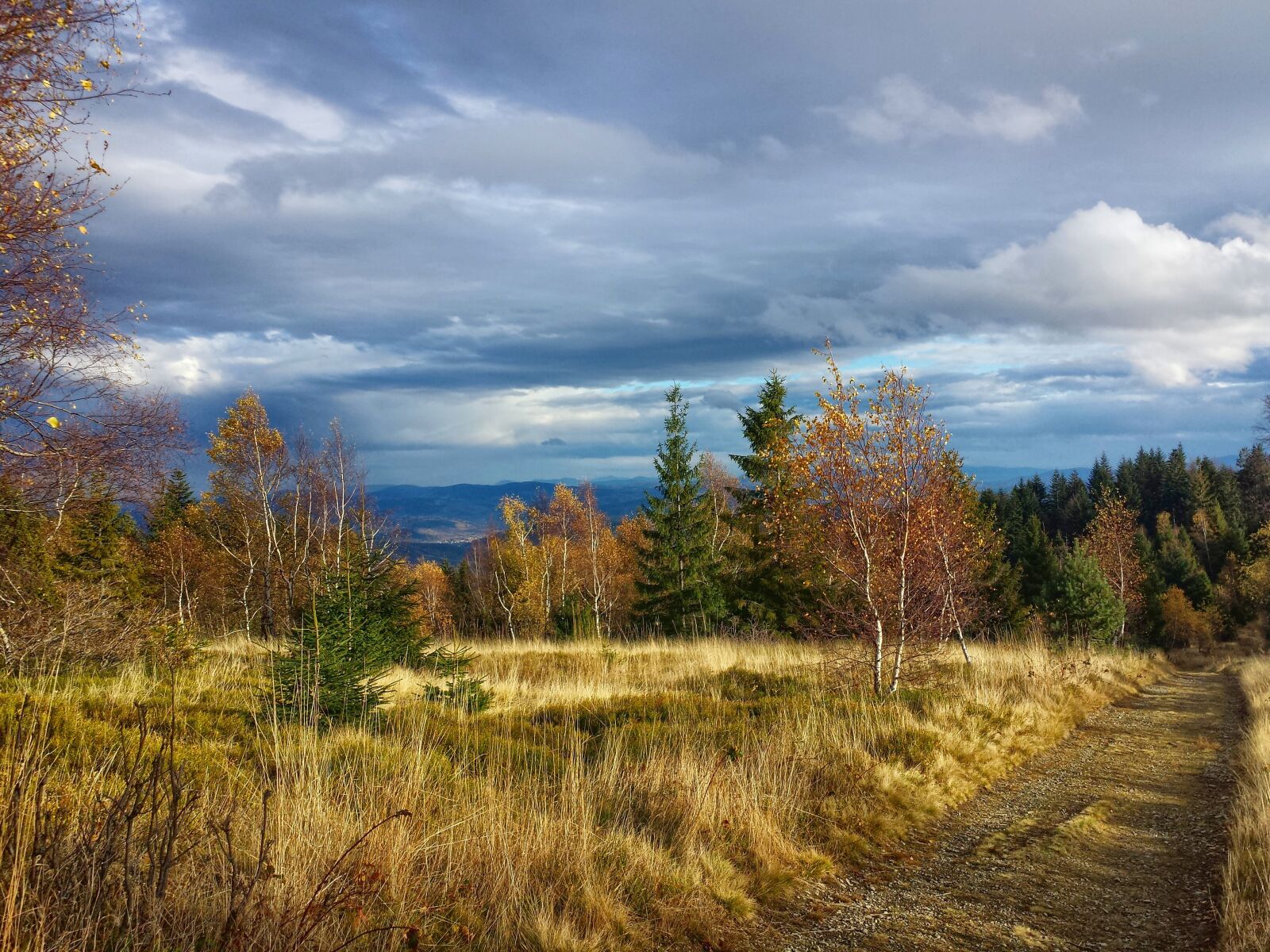Samsung Galaxy S4 sample photo. Mountains, autumn, forest photography