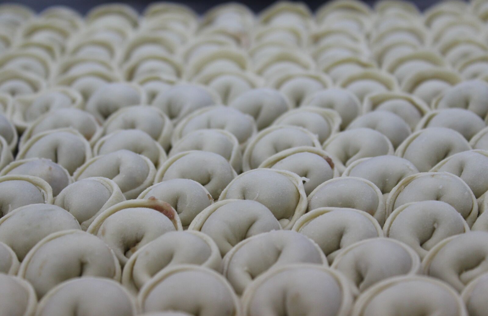 Canon EOS 600D (Rebel EOS T3i / EOS Kiss X5) sample photo. Pelmeni, russia, kitchen photography