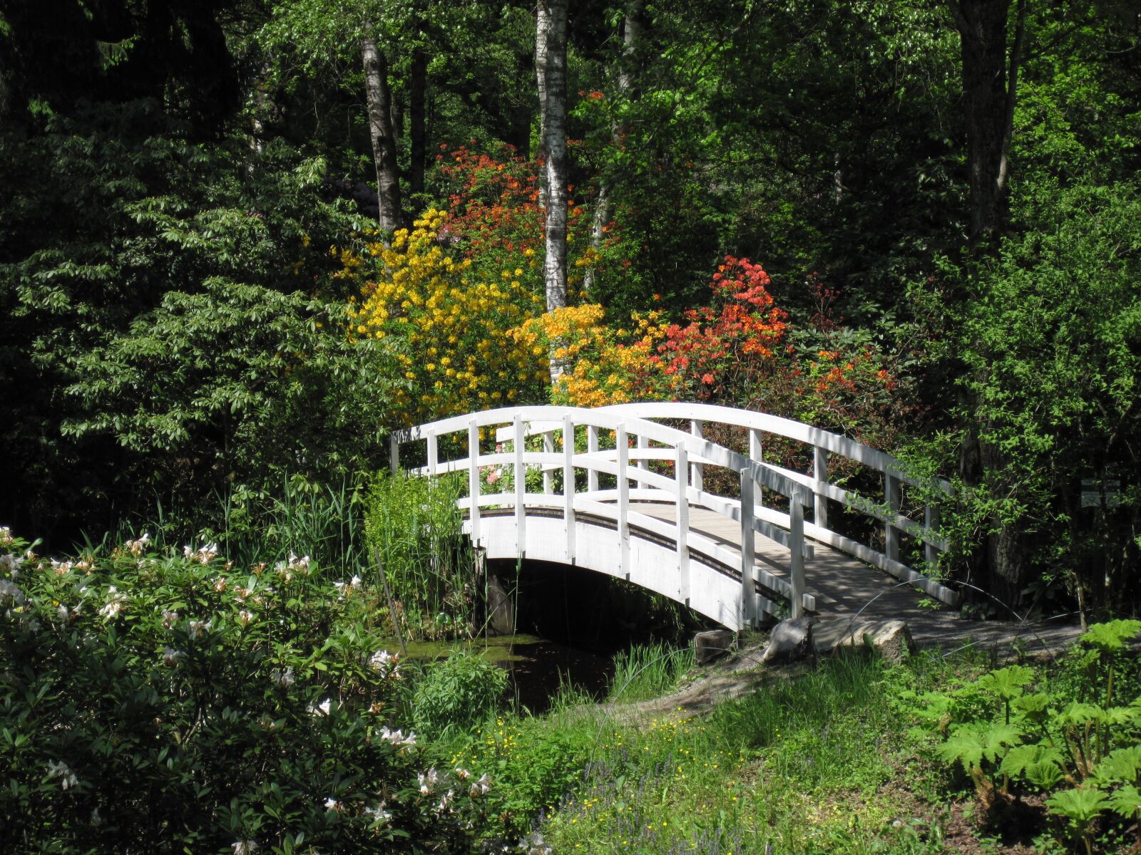 Canon PowerShot D10 sample photo. Water, bridge, pond photography