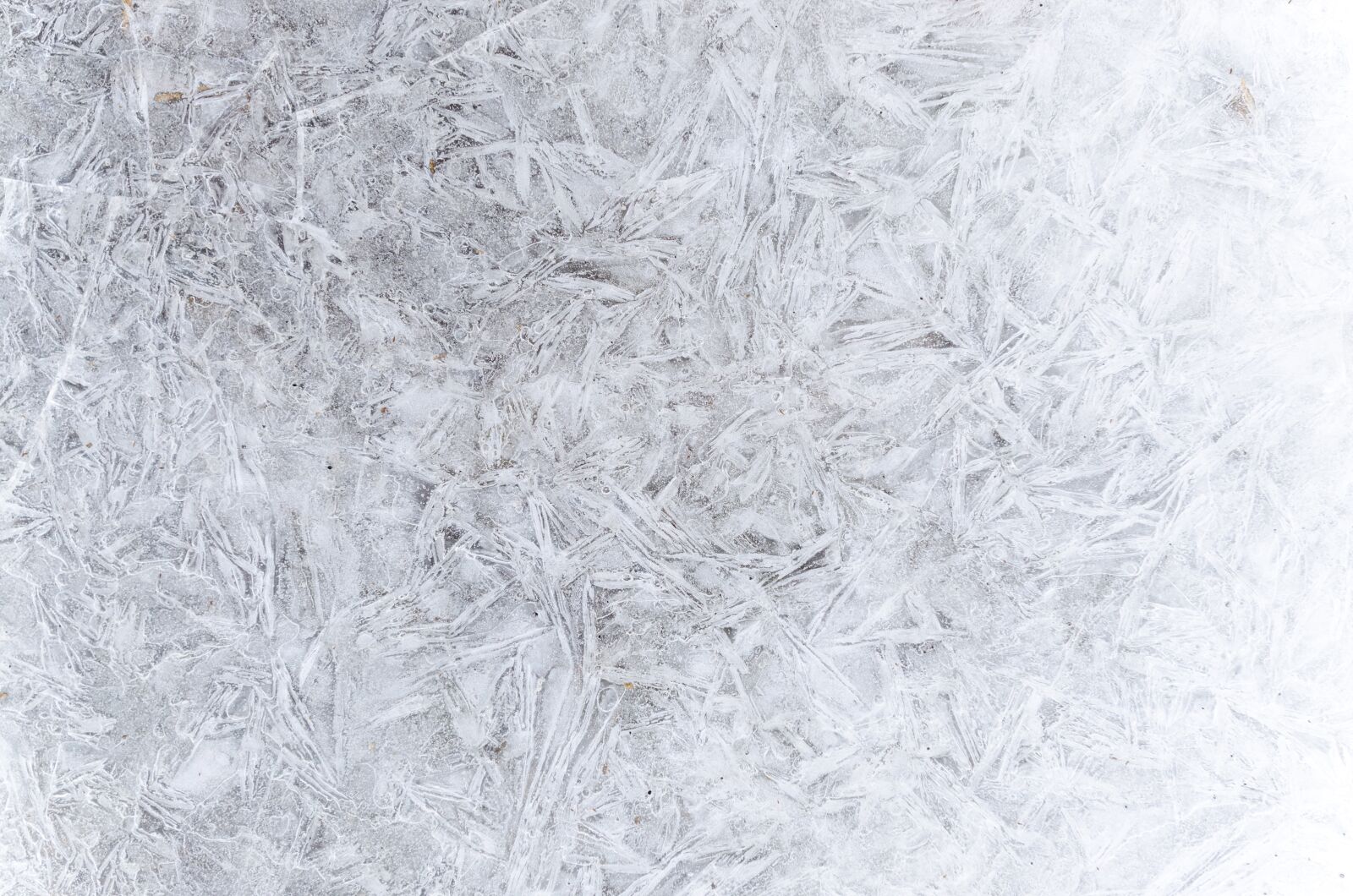 Nikon D5100 sample photo. Pattern, winter, cold photography