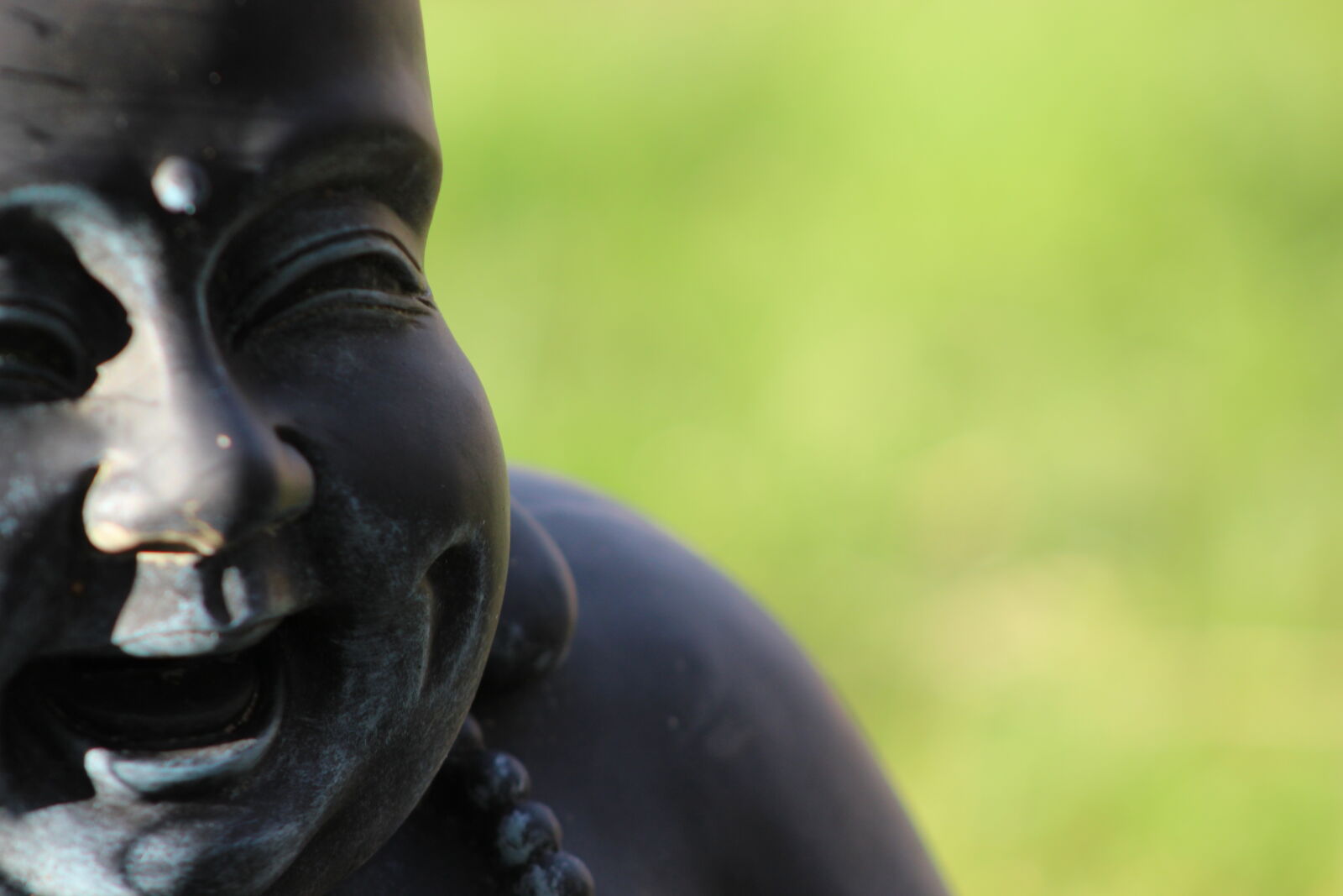 Canon EF 75-300mm f/4-5.6 sample photo. Bokeh, buddha, macro, resin photography