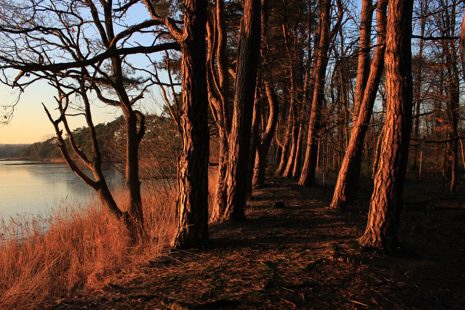 Canon EOS 600D (Rebel EOS T3i / EOS Kiss X5) sample photo. Landscape, fiery, fairy tale photography