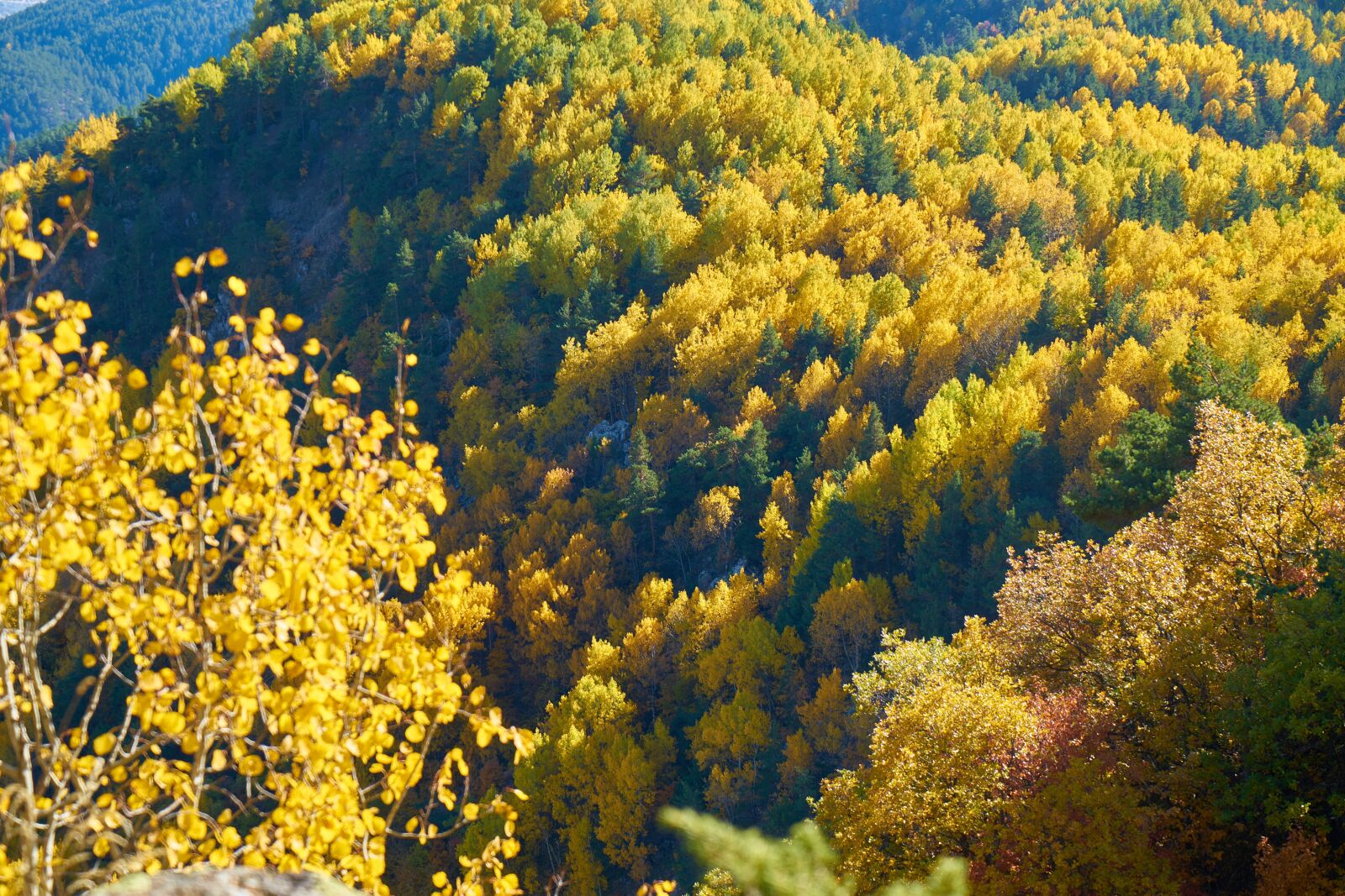 Sony a7R II sample photo. Autumn, season, landscape photography