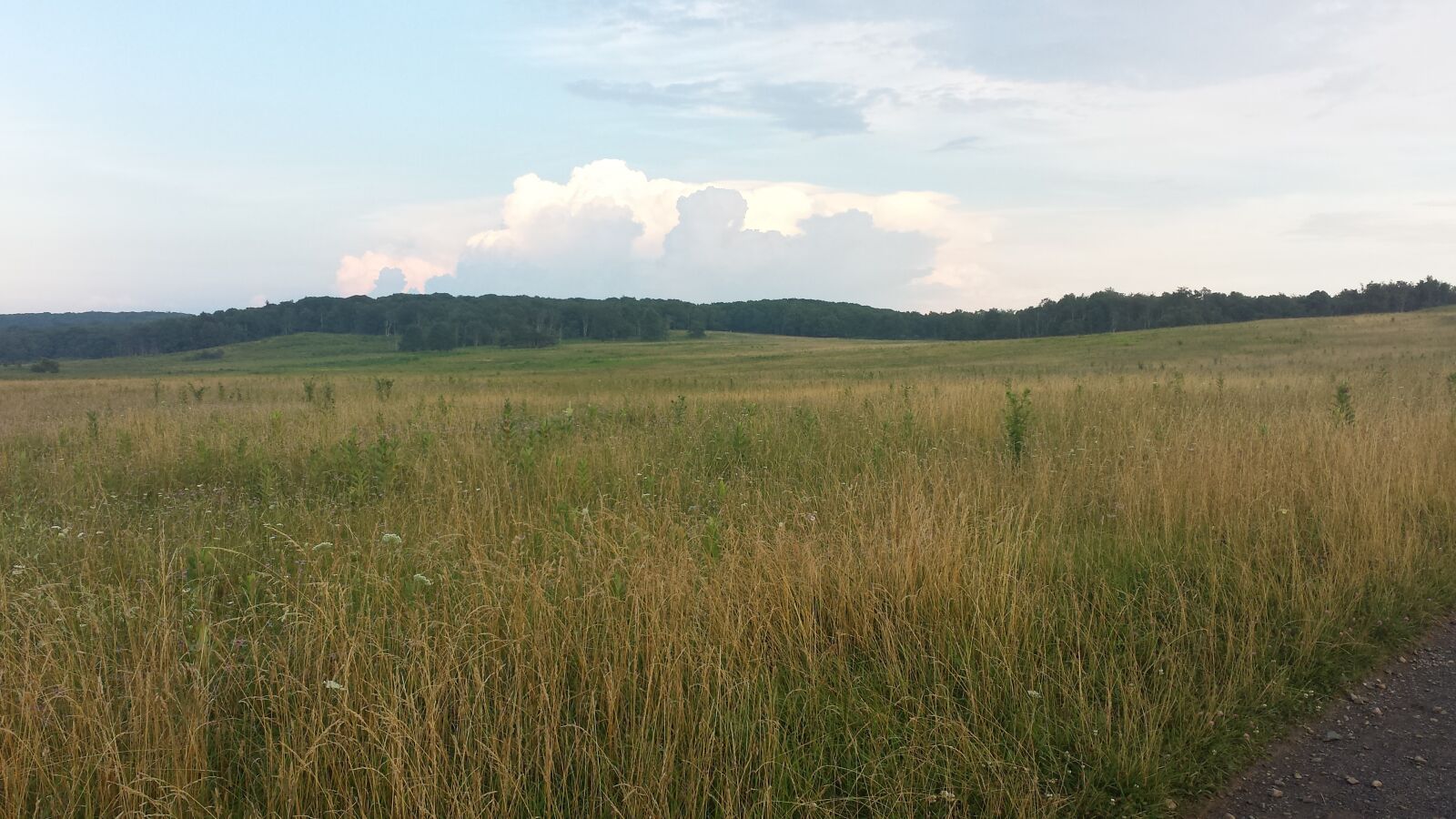 Samsung Galaxy S4 sample photo. Mountains, meadow, nature photography