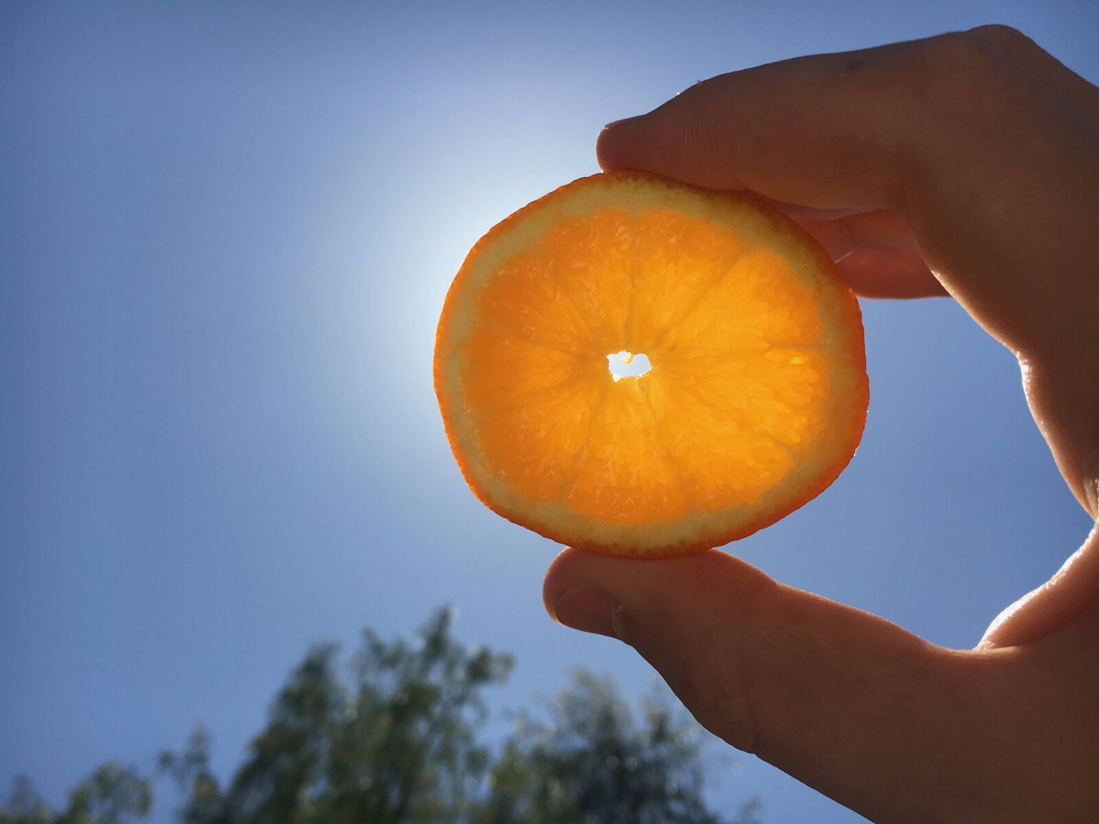 Apple iPhone 6s sample photo. Orange, blue sky, sunshine photography