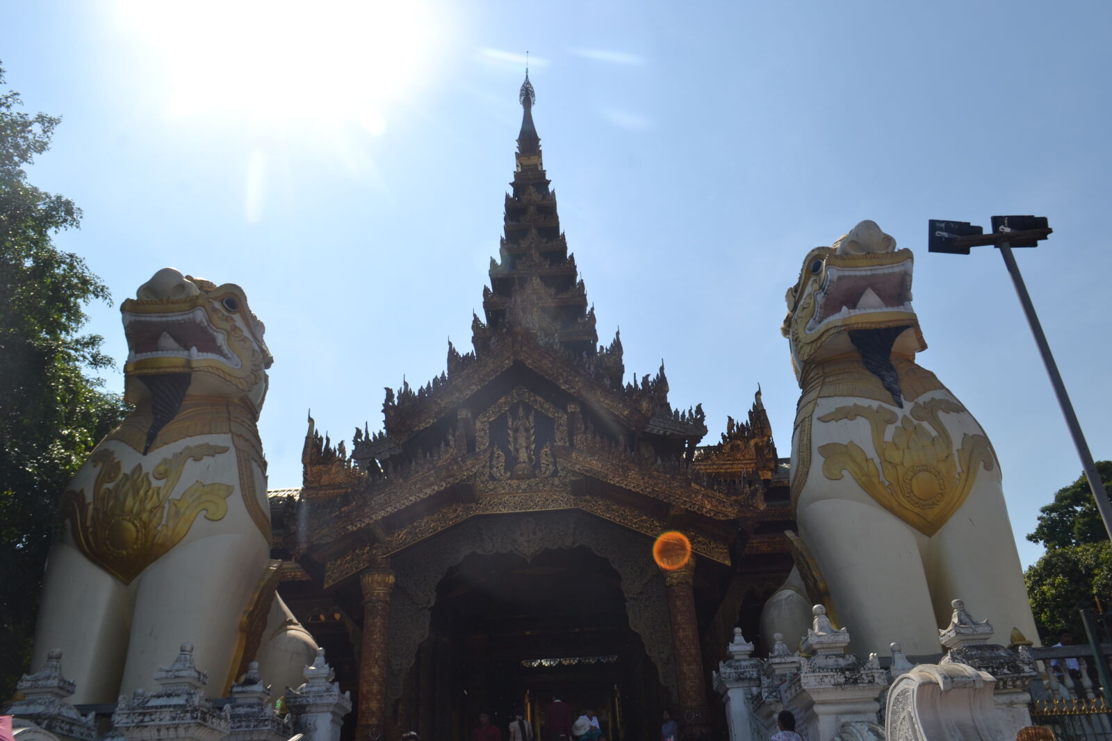 Nikon D3100 sample photo