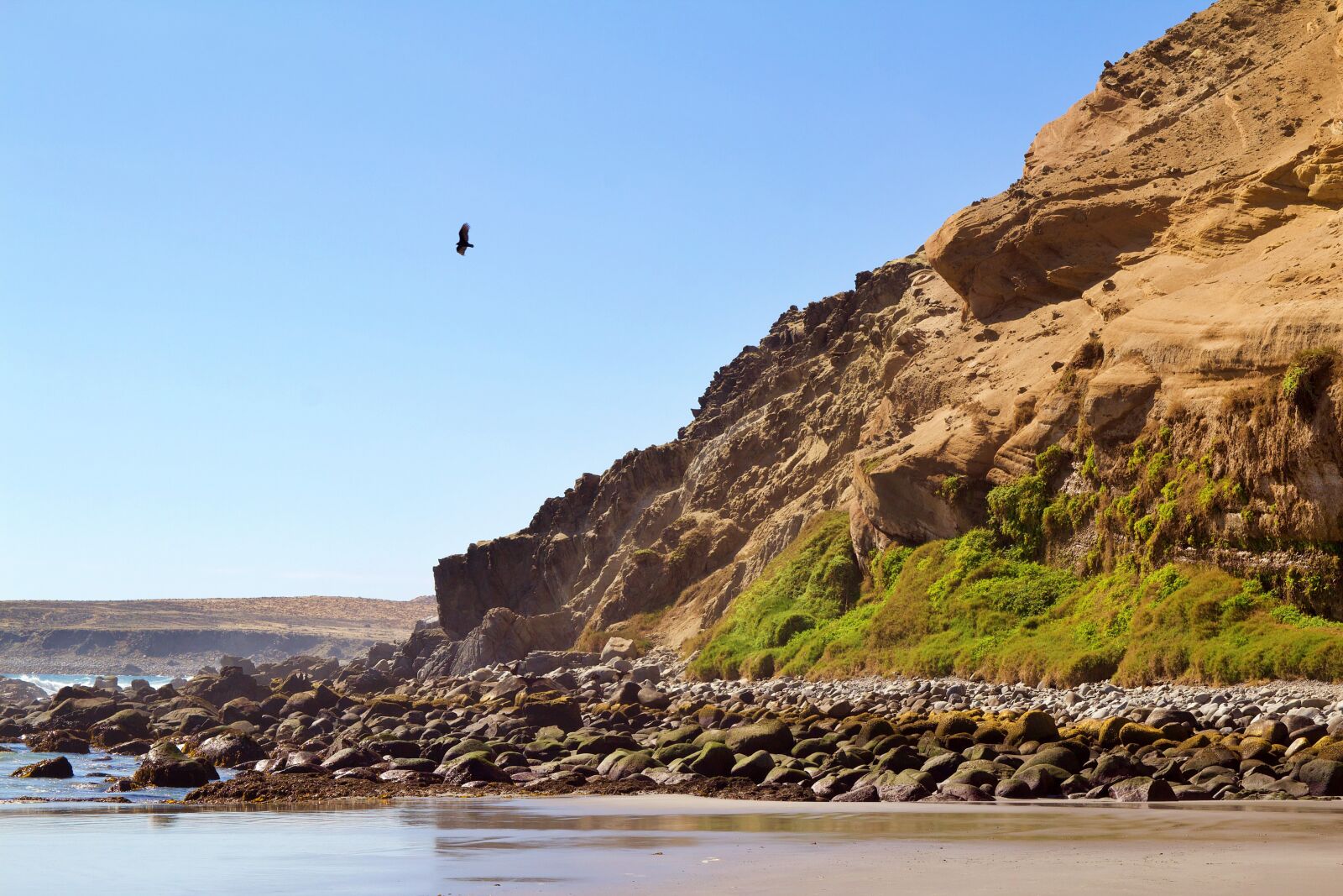 Canon EOS 600D (Rebel EOS T3i / EOS Kiss X5) sample photo. Chile, coast, nature photography