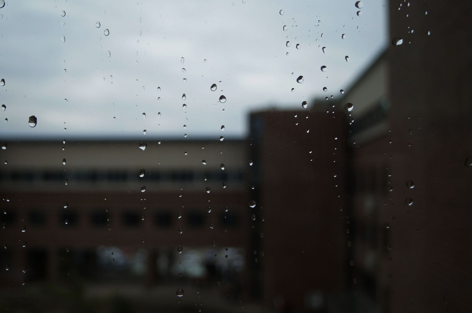 Sony SLT-A57 sample photo. Non, tabitha, window photography