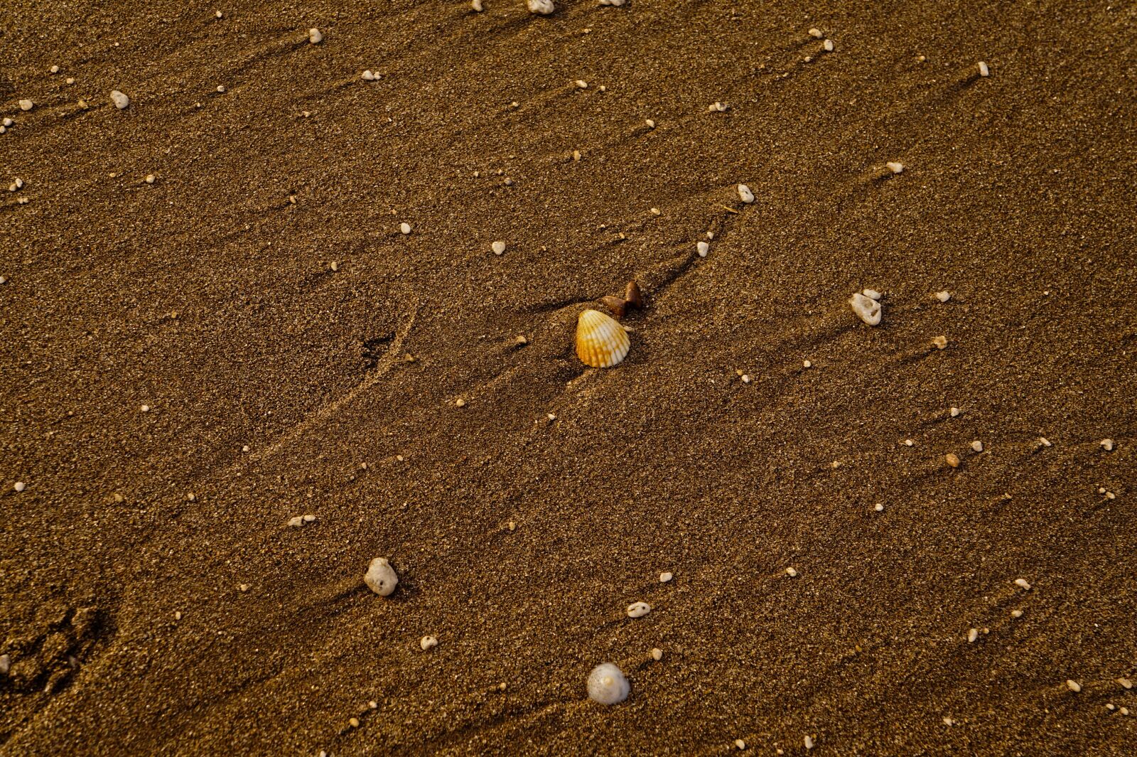 Sony Alpha a3000 + Sony E 18-55mm F3.5-5.6 OSS sample photo. Sand, beach, coastal photography