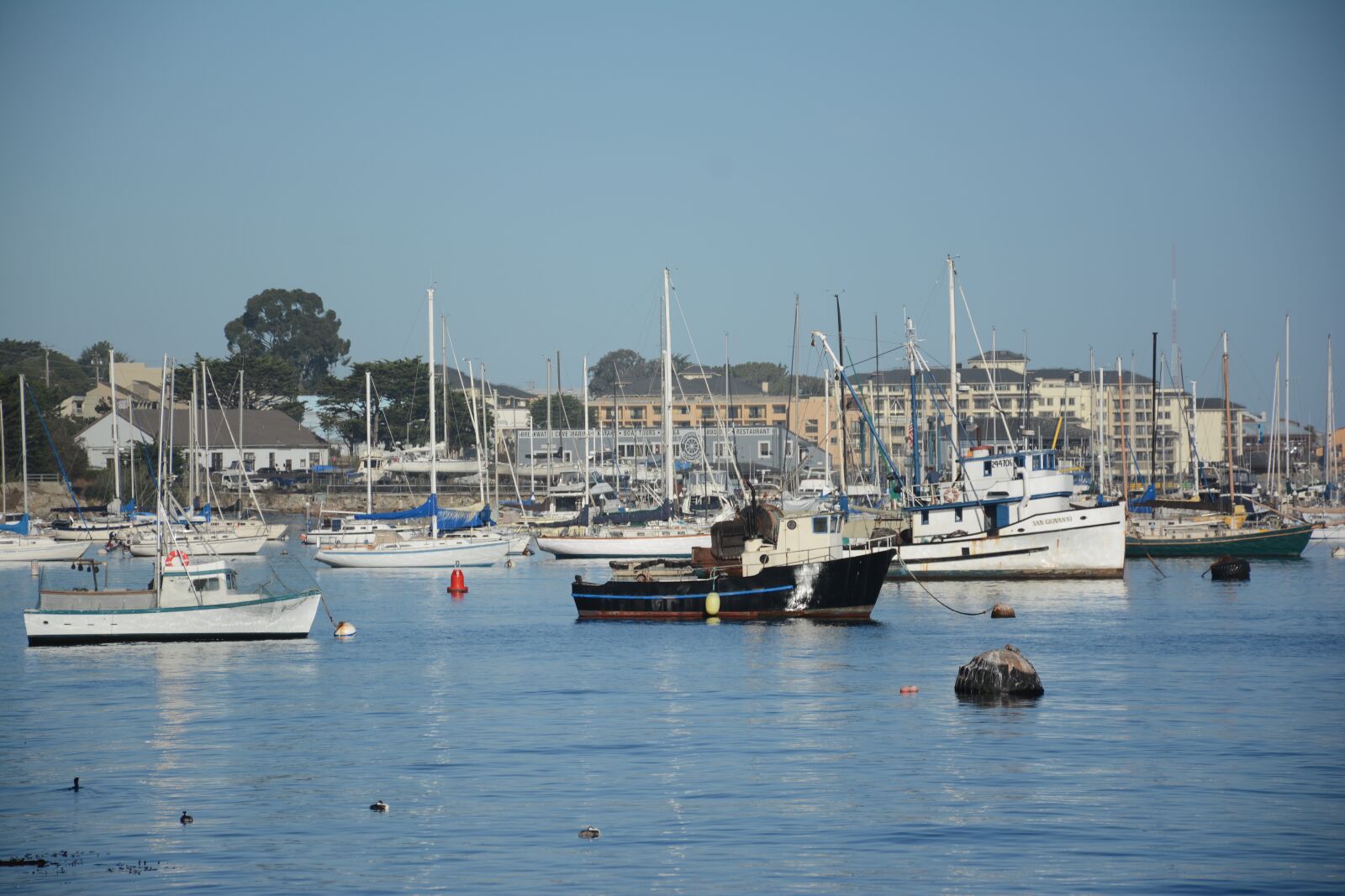Nikon D7100 sample photo. California, sea, ocean photography