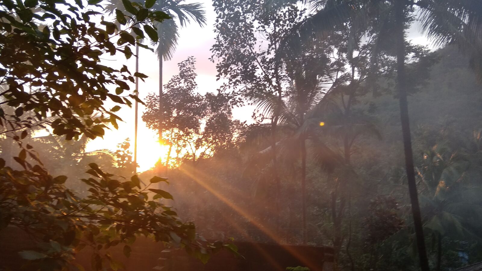 Xiaomi Redmi 5A sample photo. Morning, sun, sunrise photography