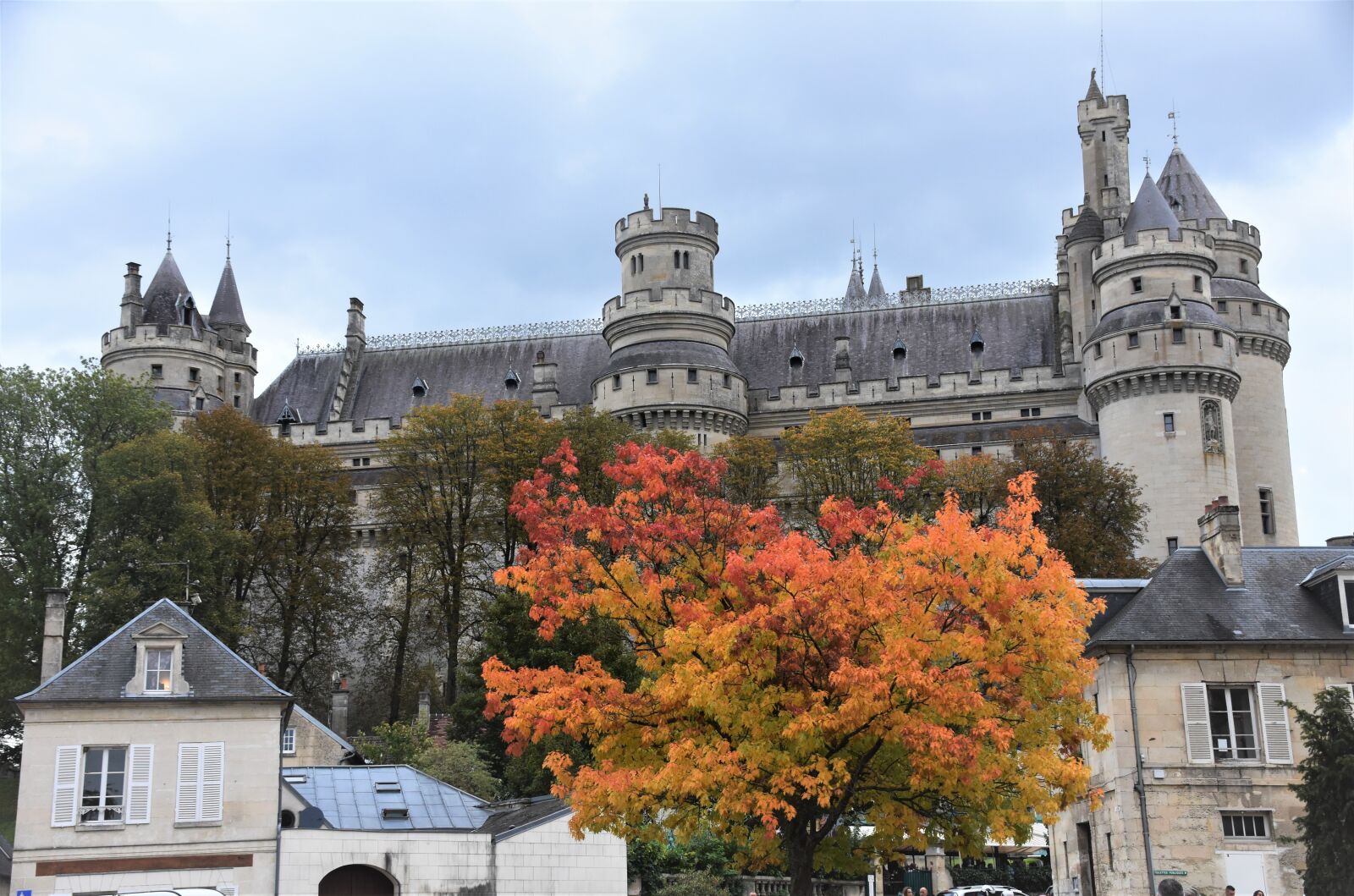 Nikon D7200 sample photo. France, tree, french photography