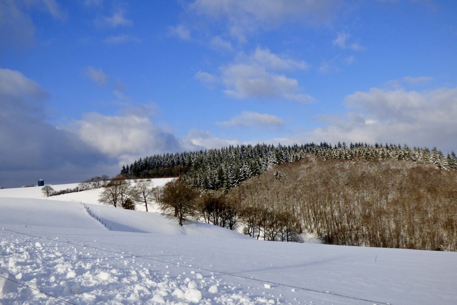 Panasonic DMC-FZ72 sample photo. Snow landscape, trees, blue photography