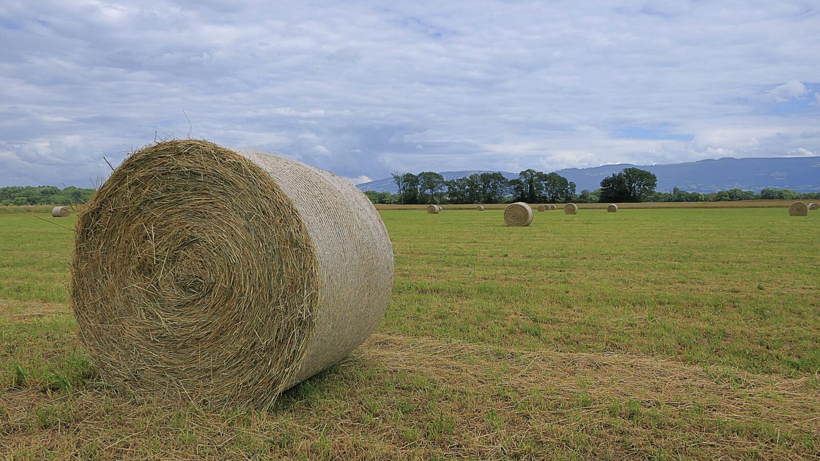Panasonic Lumix DMC-FZ2500 (Lumix DMC-FZ2000) sample photo. Field, wheel, hay photography