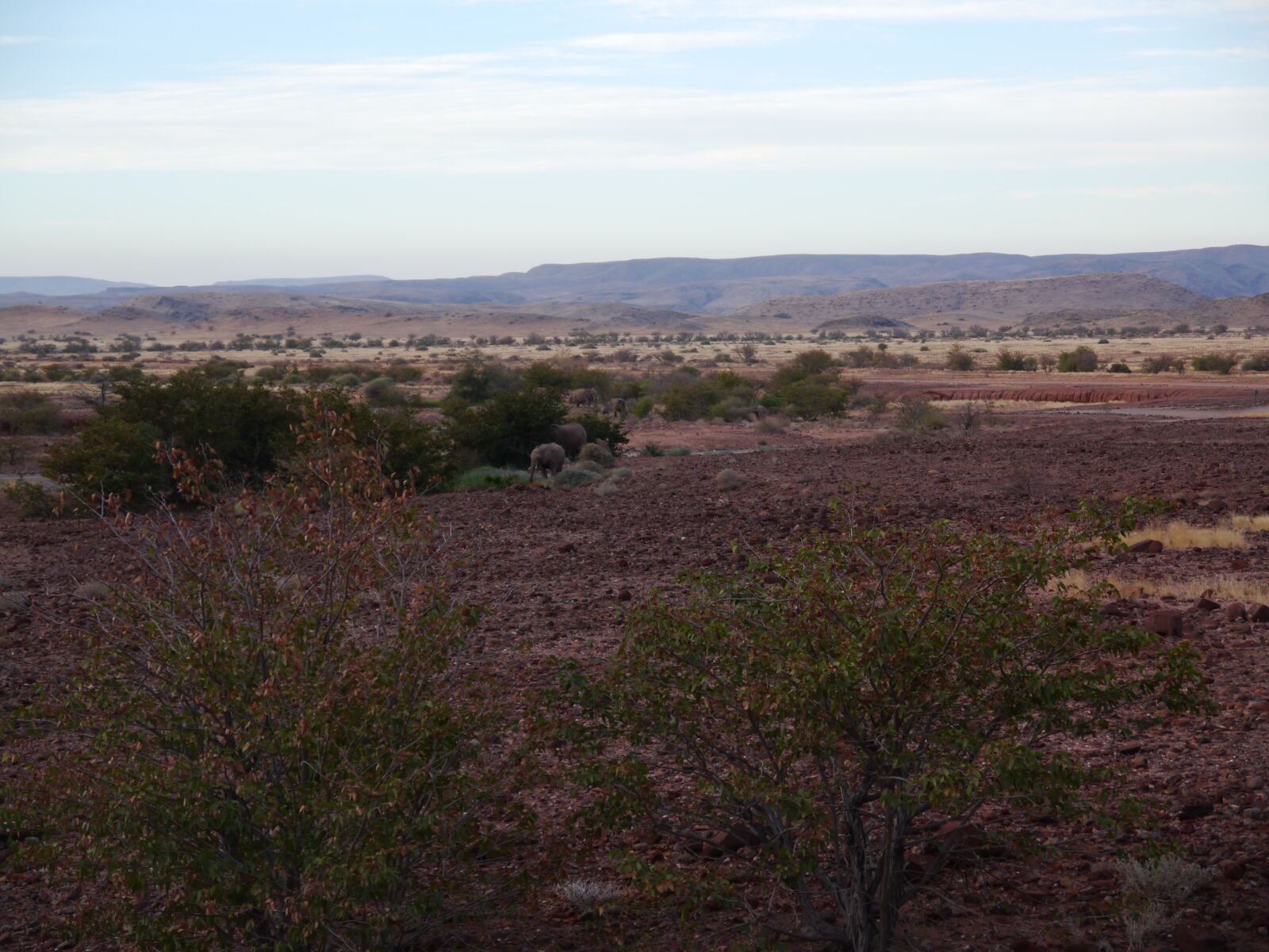 Panasonic Lumix DMC-G3 sample photo. Namibia, desert, africa photography
