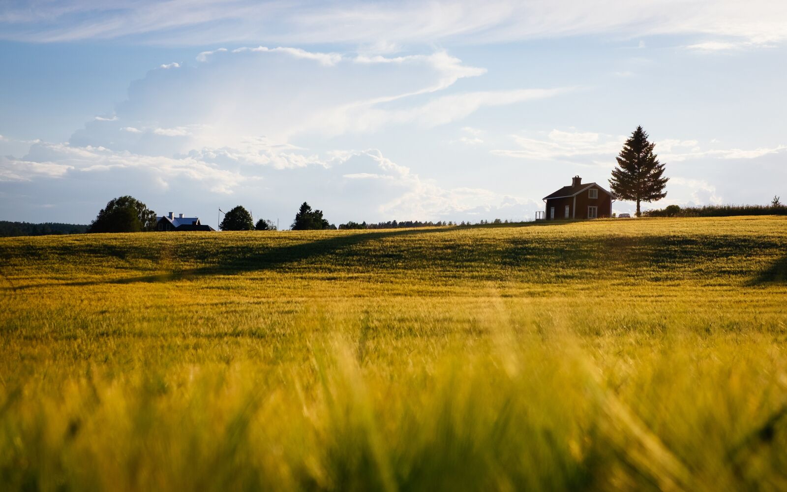 Fujifilm X-T10 + Fujifilm XF 35mm F1.4 R sample photo. Agriculture, blur, countryside photography