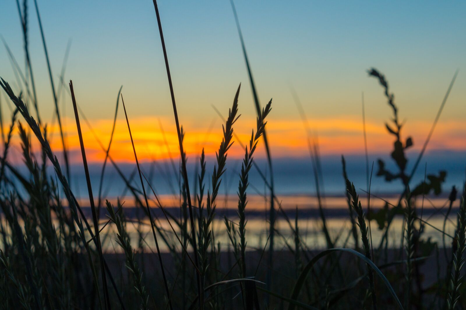 Sony SLT-A58 + Sony DT 50mm F1.8 SAM sample photo. Sunset, sky, seashore photography