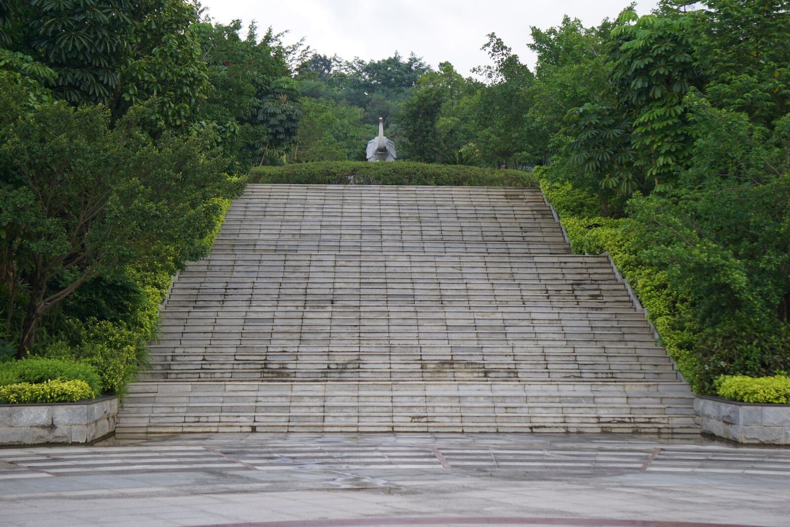 Sony a6000 sample photo. Ladder, green photography