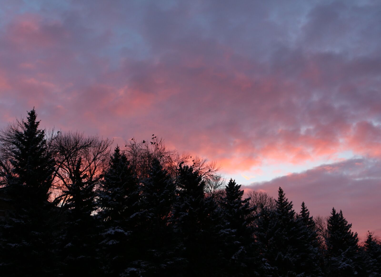 Canon EOS 650D (EOS Rebel T4i / EOS Kiss X6i) sample photo. Russia, saratov, sky photography
