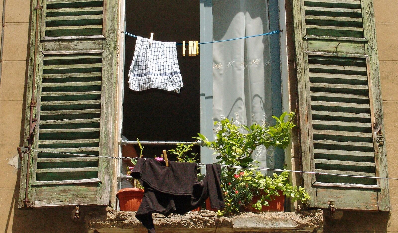 Sony DSC-F828 sample photo. Italy, window, wood photography