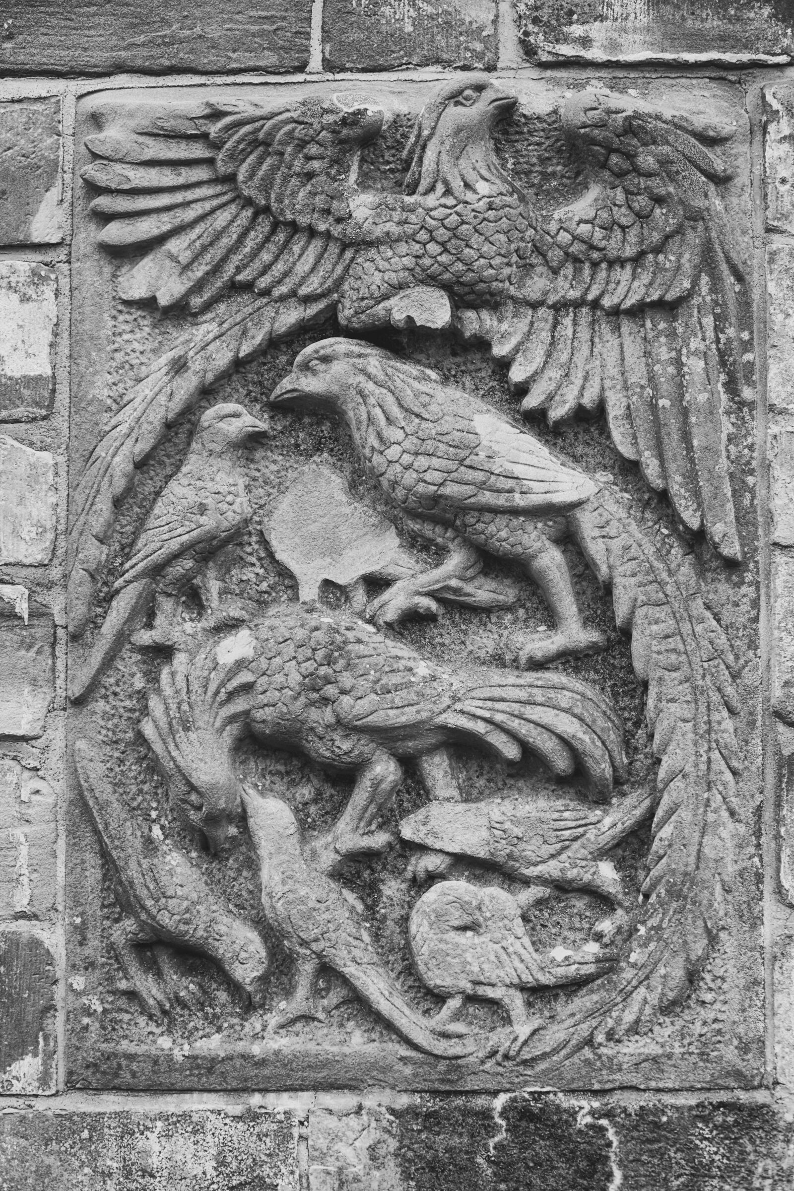 Sony a6000 sample photo. Pheasants, relief, sand stone photography