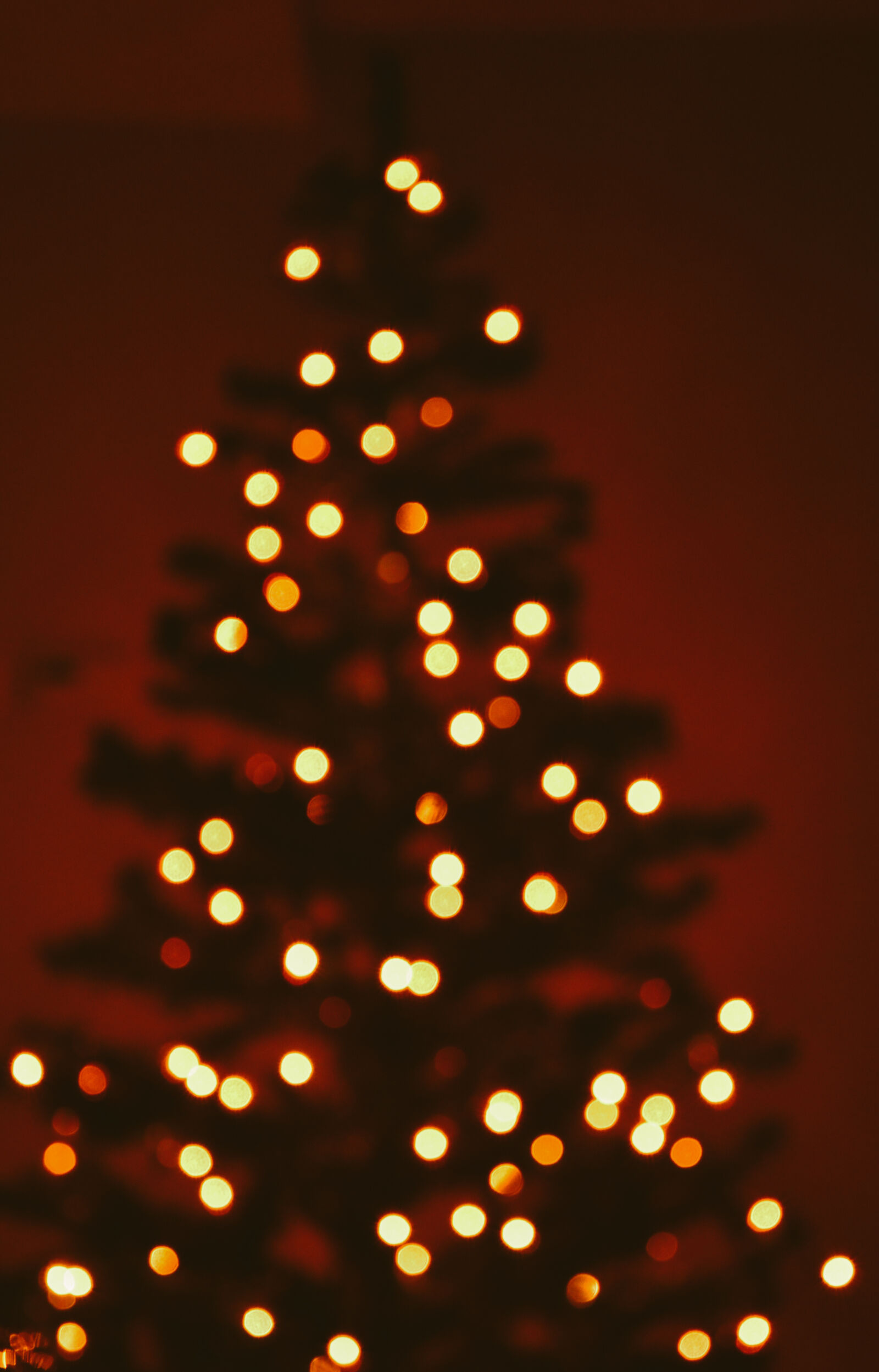 Nikon D3200 sample photo