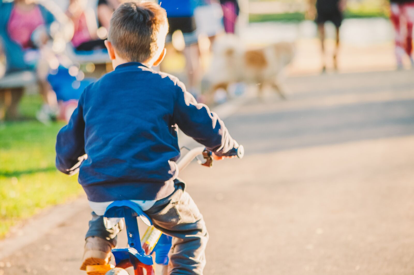 Nikon D90 sample photo. Boy, bike, kid photography
