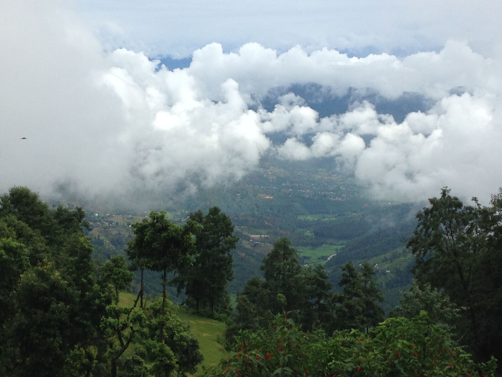 iPhone 5c back camera 4.12mm f/2.4 sample photo. Sky, jungle, cloud photography