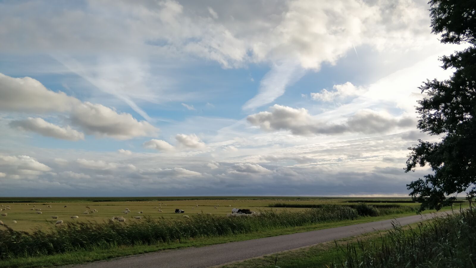 OnePlus 5 sample photo. Air, nature, pasture photography