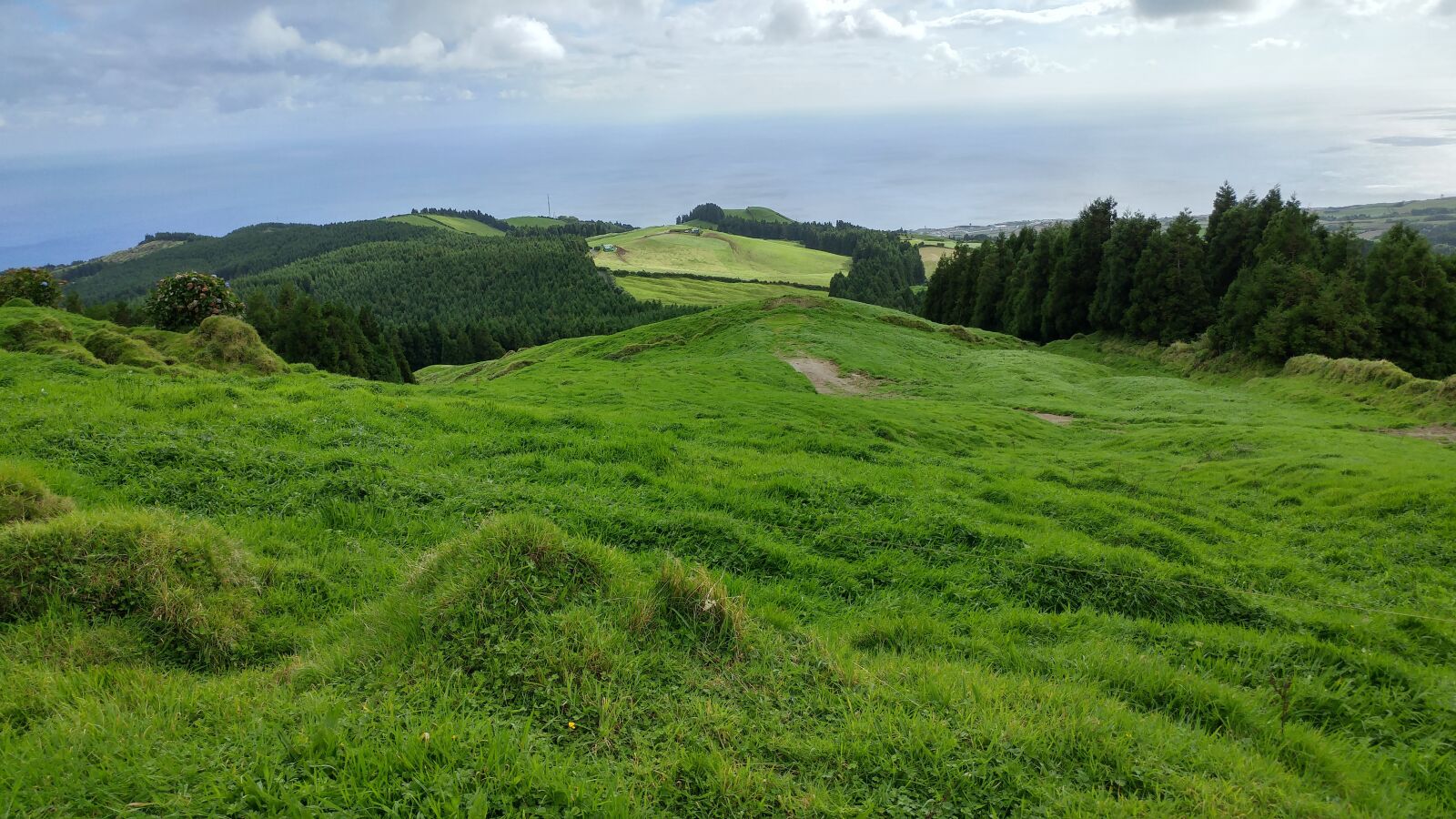 LG G5 sample photo. Azores, nature, green photography