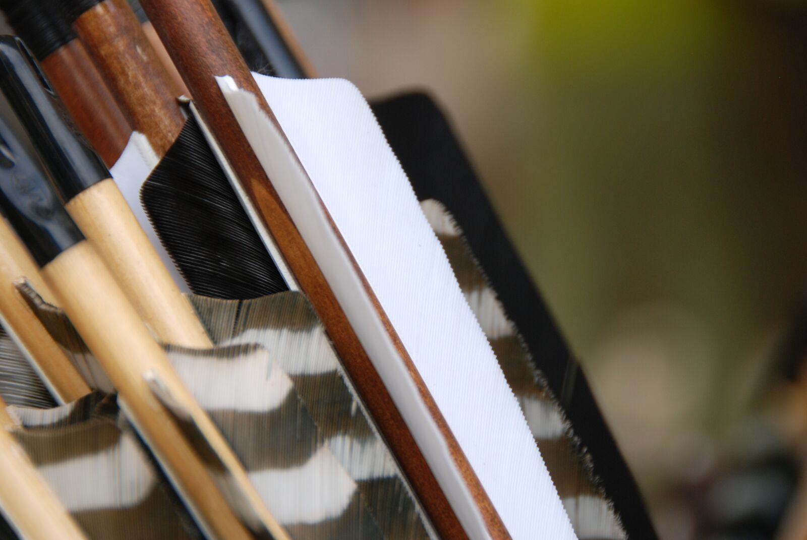 Nikon D80 sample photo. Archery, arrow, bow photography