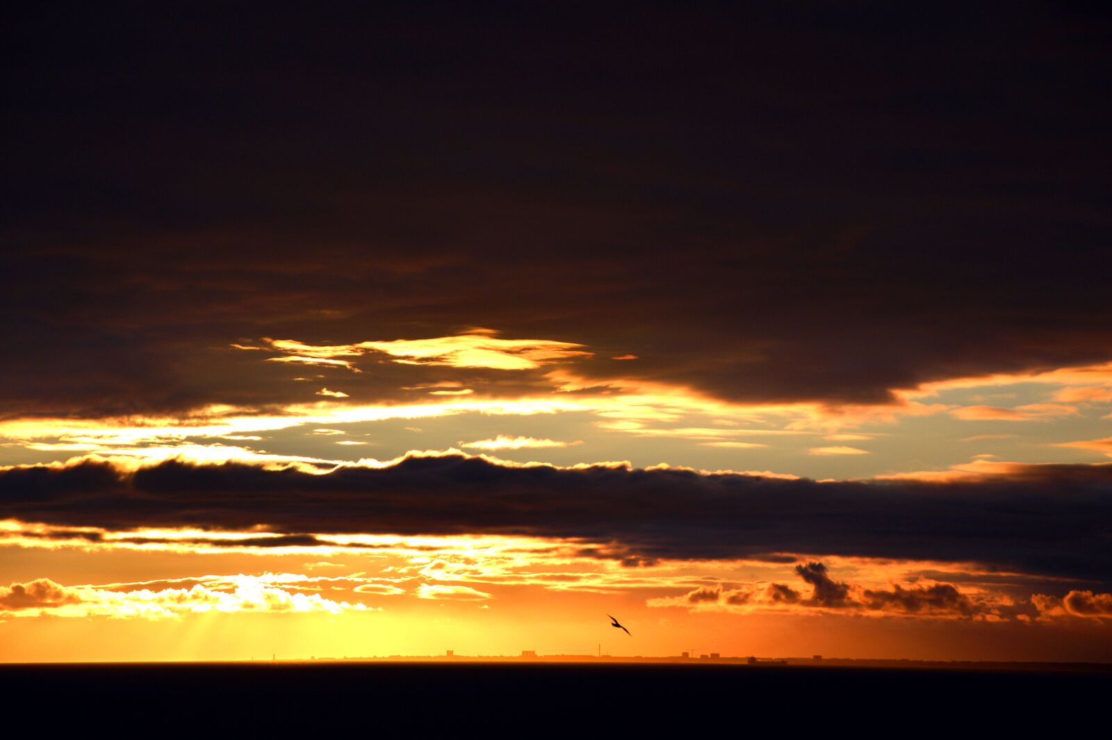 Nikon D3200 sample photo. Sky, sunset, clouds photography