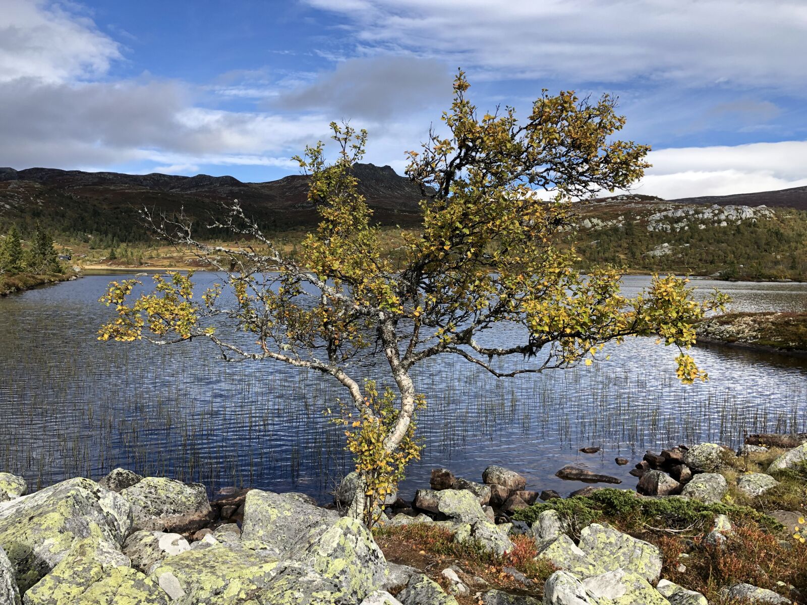 iPhone X back dual camera 4mm f/1.8 sample photo. Ranten, mountain, water photography