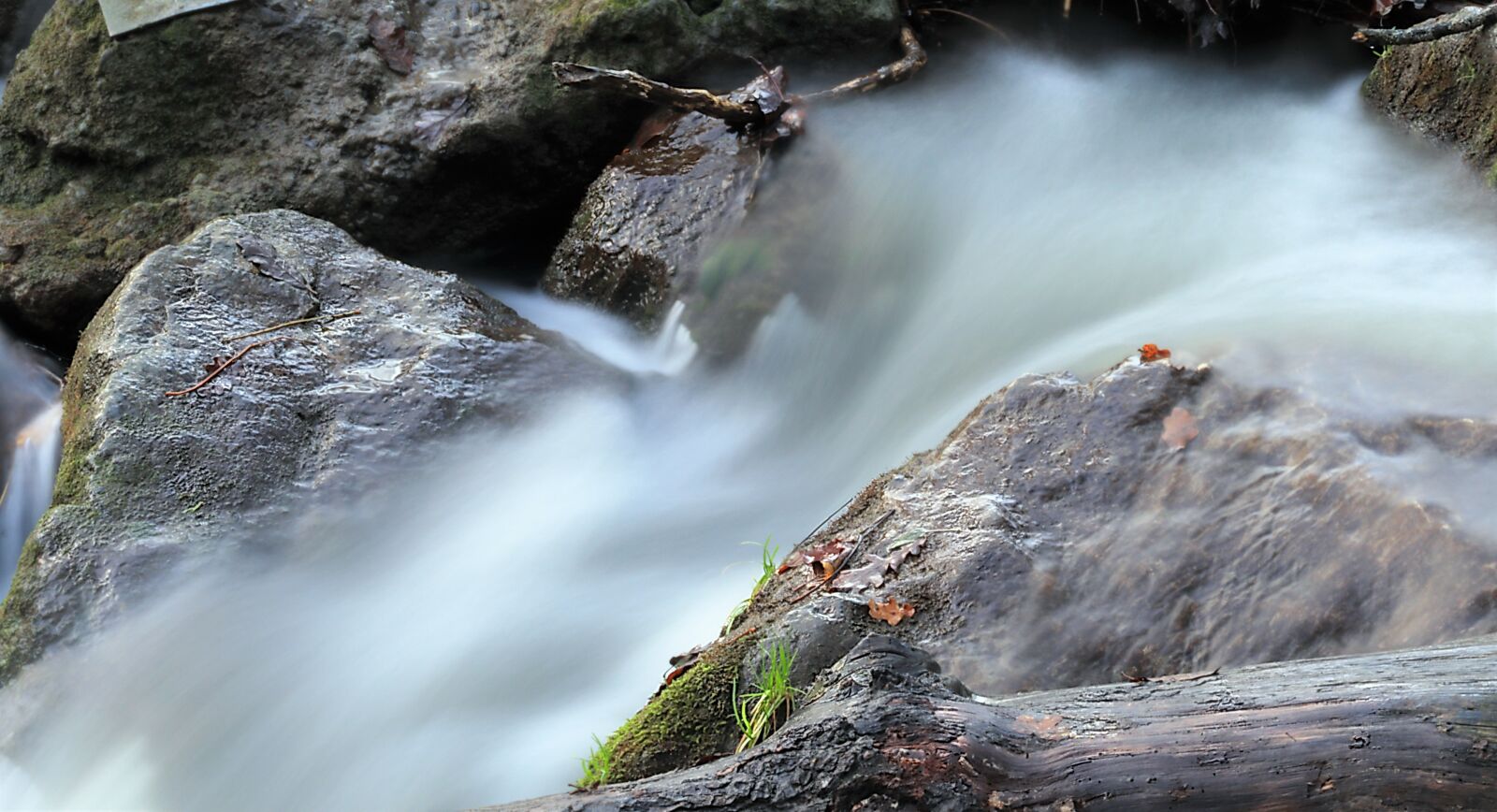 Canon EF75-300mm f/4-5.6 sample photo. Nature, water, summer photography